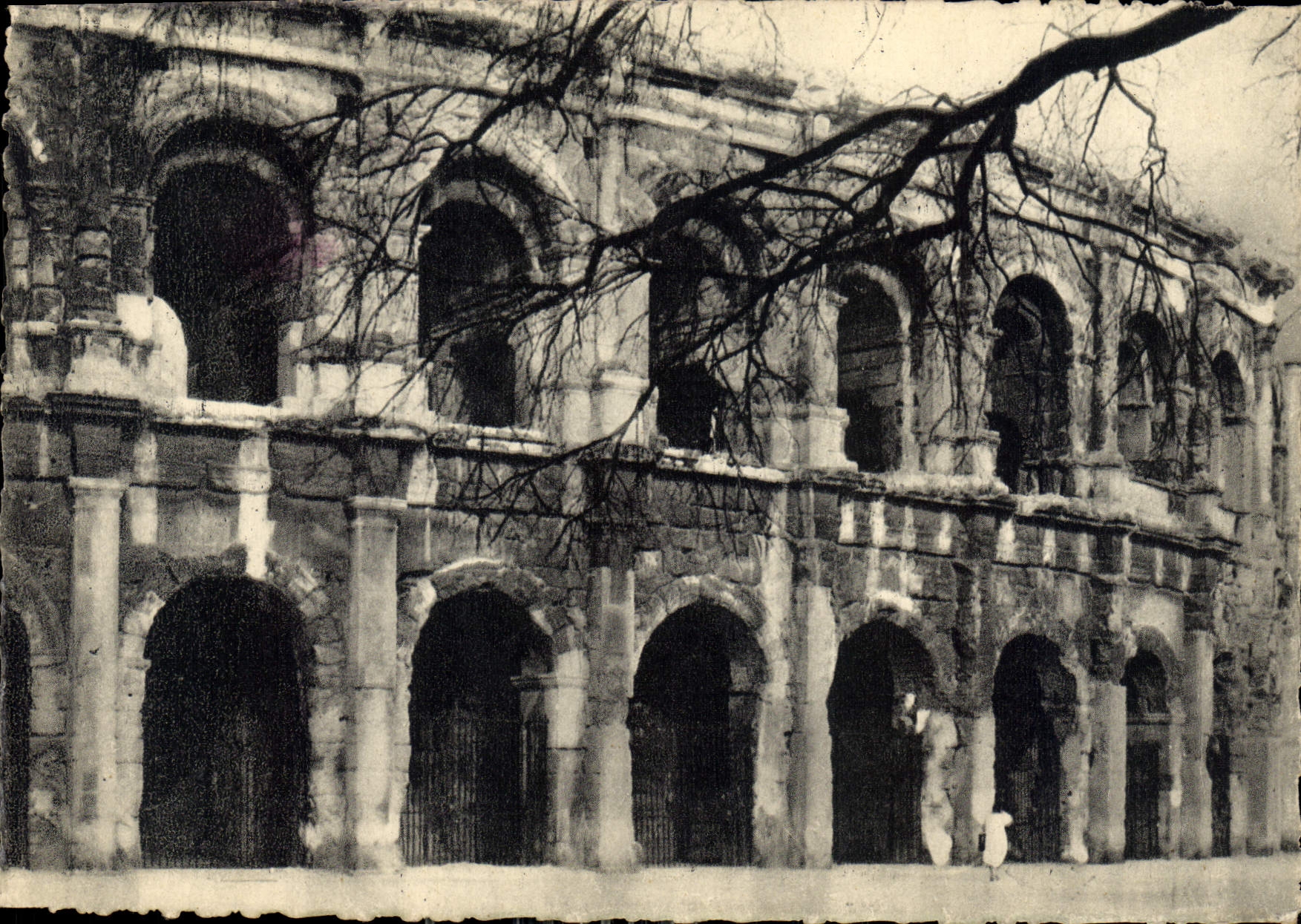 CPM Nimes les Arenes 