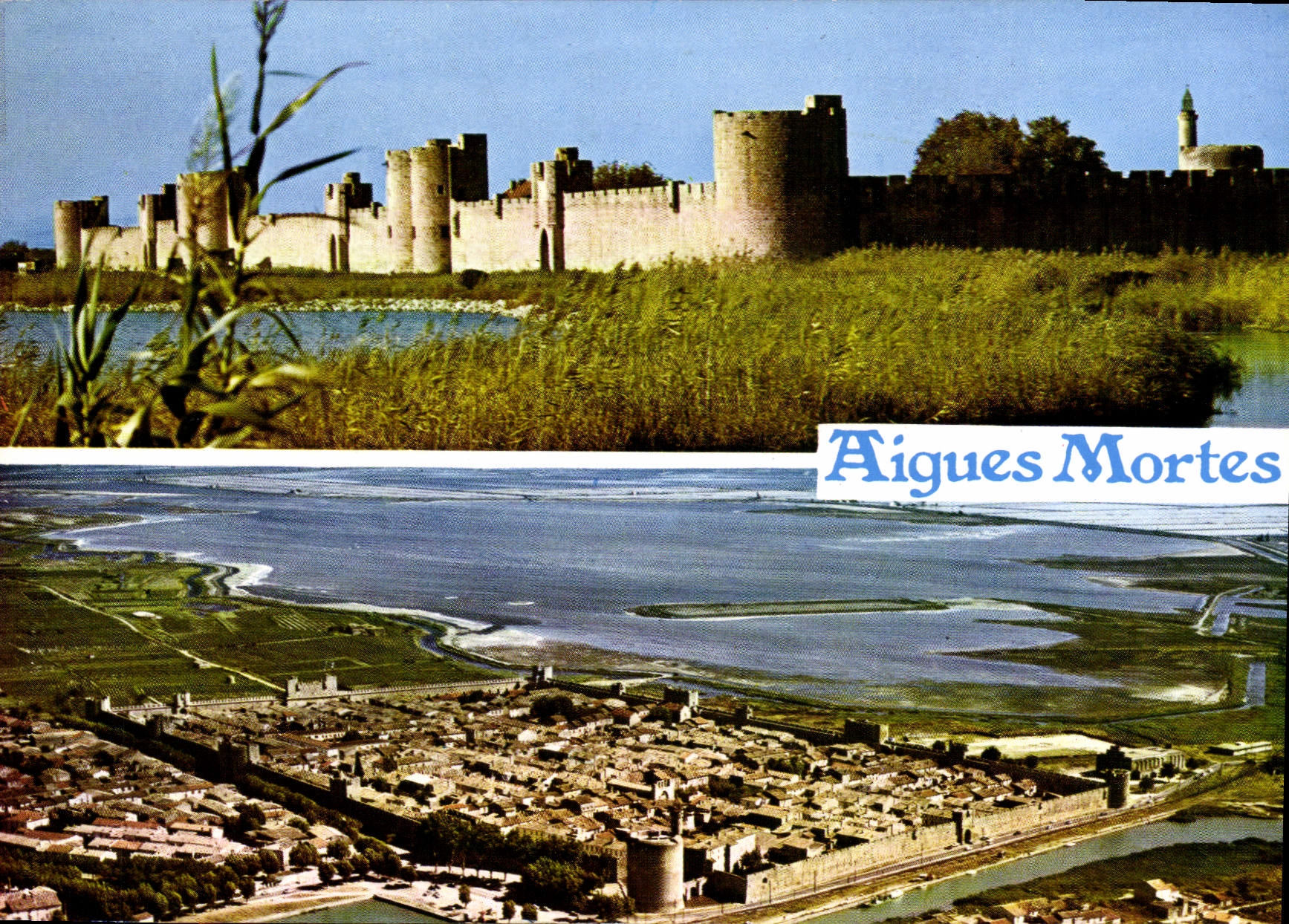 CPM Aigues Mortes Gard Havre naturel a l'interieur des lagunes Aigues Mortes devien par la volonte d