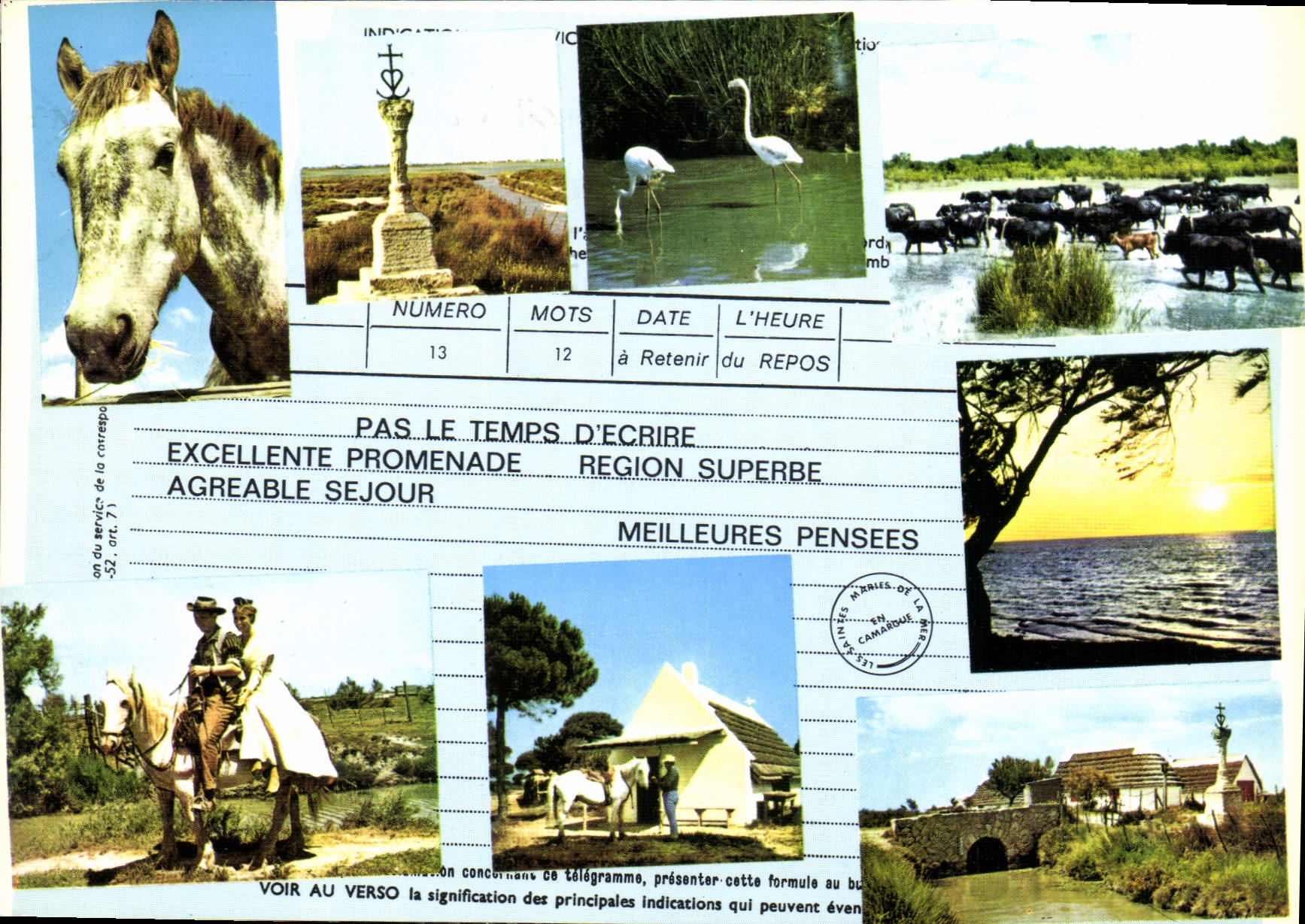 CPM En souvenir d'une agreable promenade en Camarque