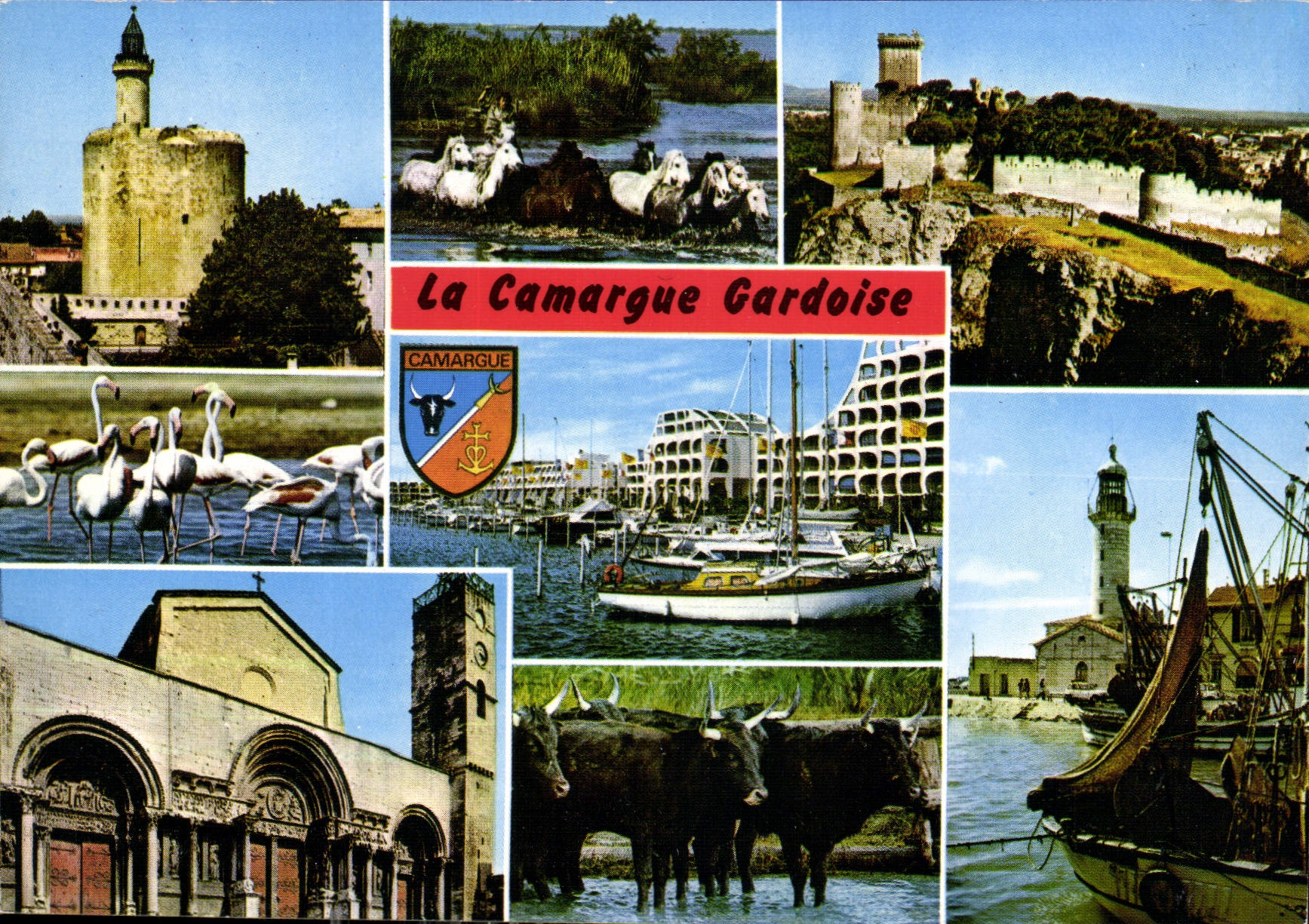 CPM La Camargue Gardoise Aigues Mortes Beaucaire Port Camargue Saint Gilles Grau du Roi 