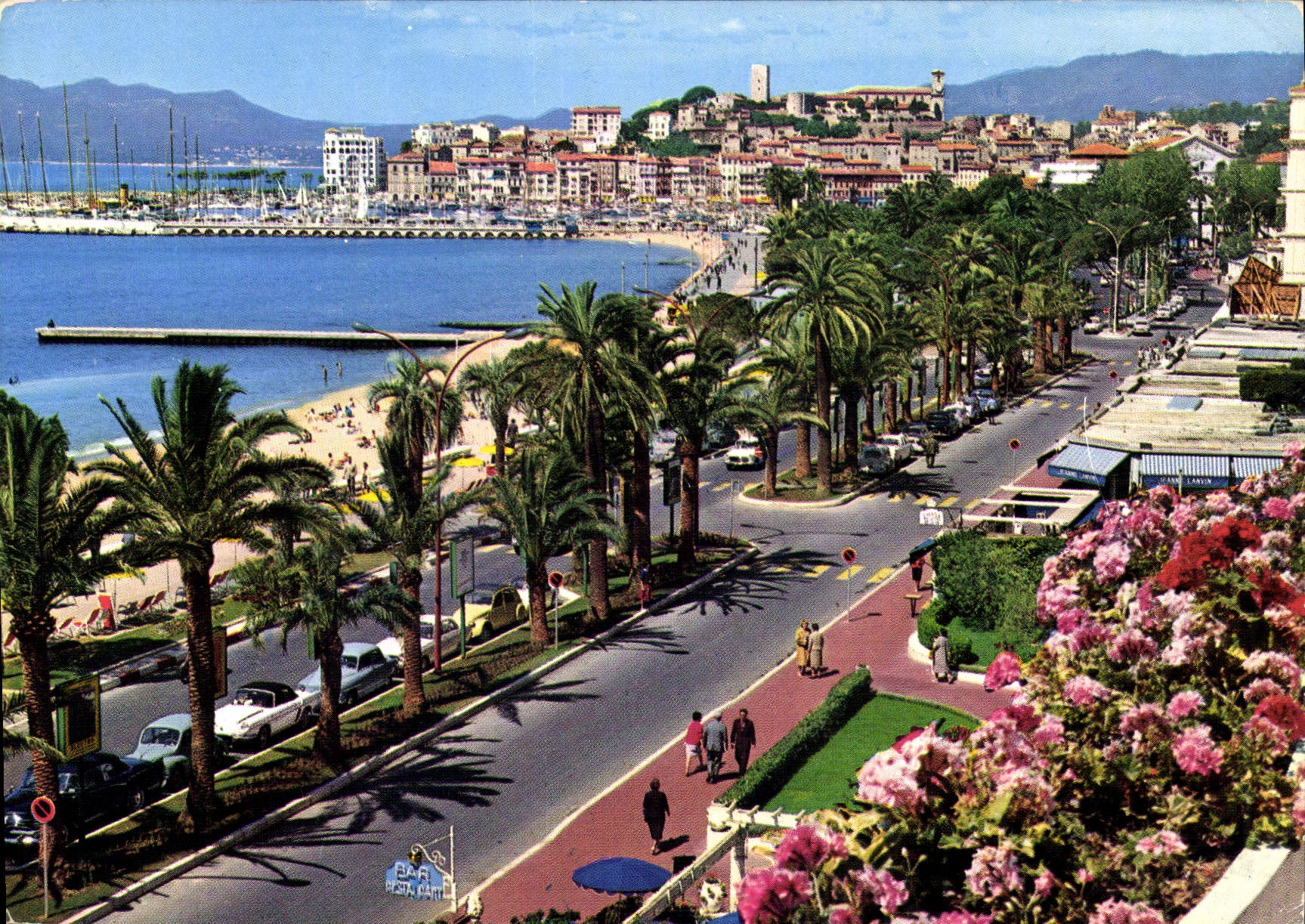 CPM Cannes Cote d'Azur la croisette au fond le Suquet 