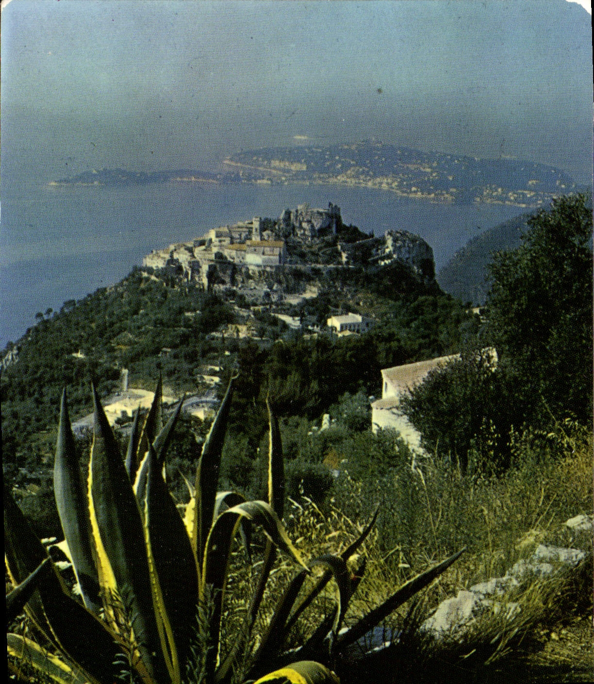 CPM Eze sur Mer vue generale dans le fond le Cap Ferrat 