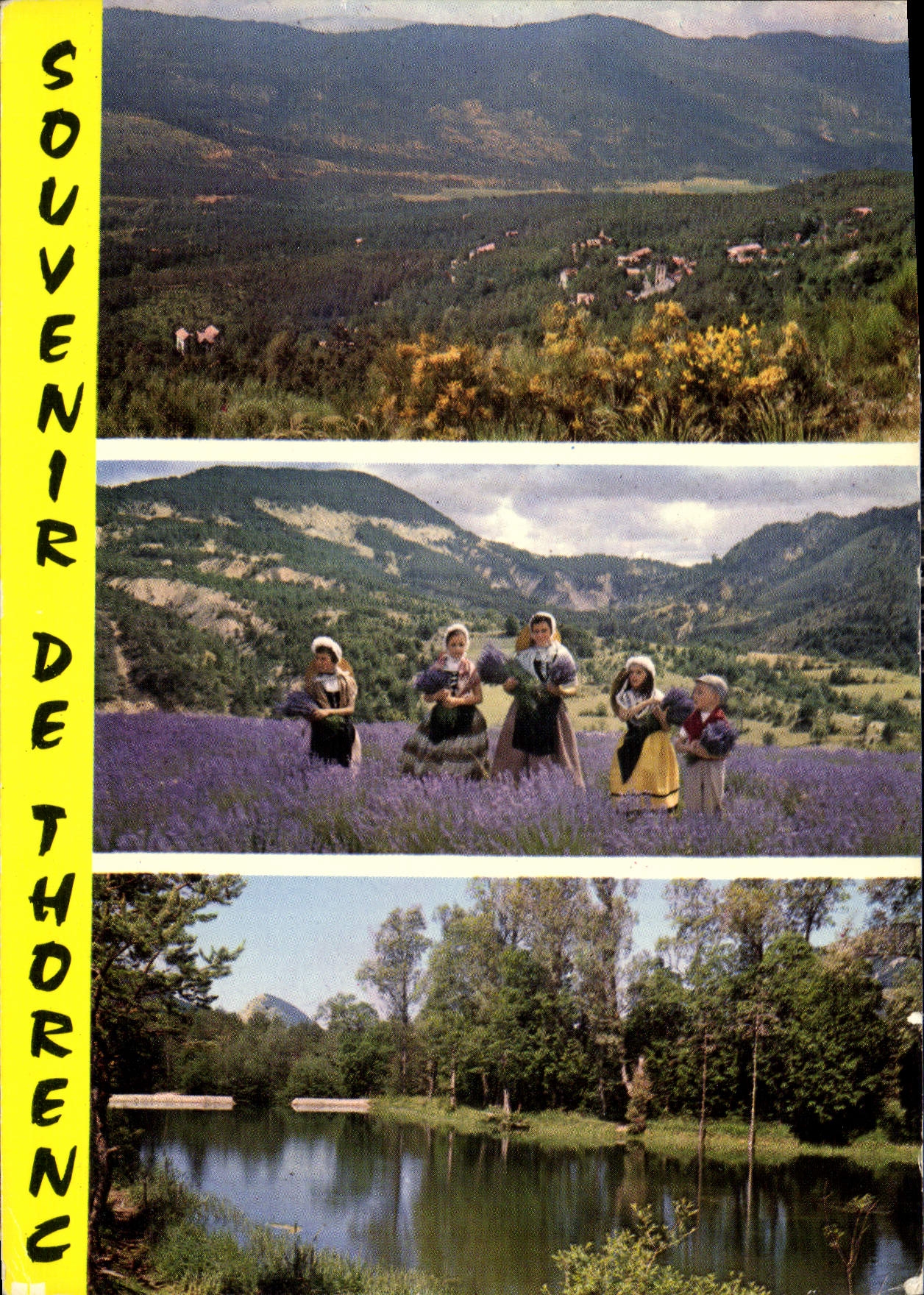 CPM La foret Restaurant Bar Tabacs Thorenc A M 