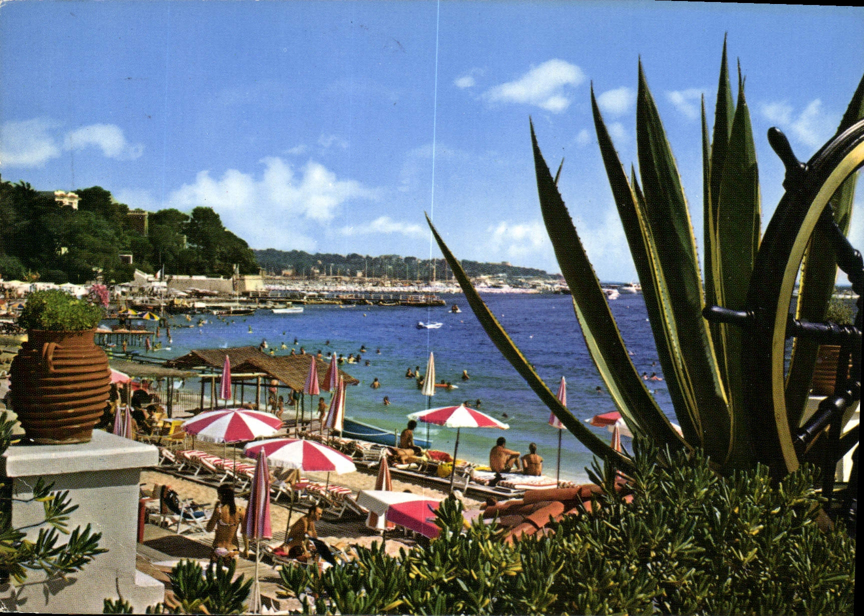 CPM Juan les Pins vue sur le Port de Plaisance prise de la terrasse du casino Municipal Dans le fond