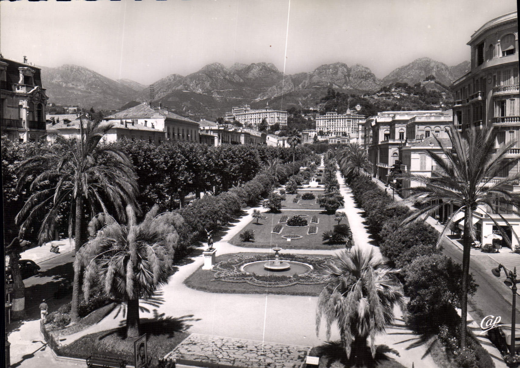 CPM Menton le Jardin Public 