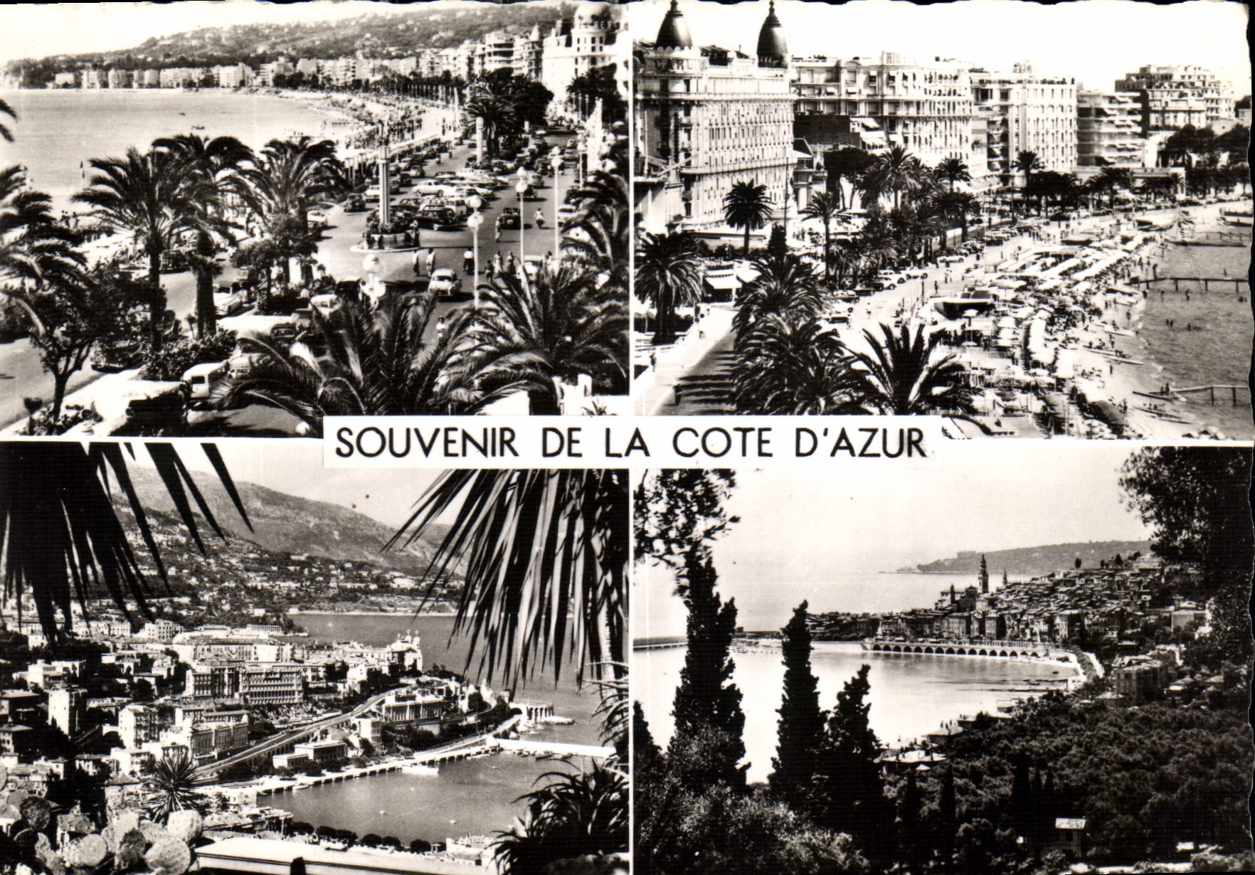 CPM Souvenir de la cote d'Azur Nice Cannes Monte Carlo Menton 