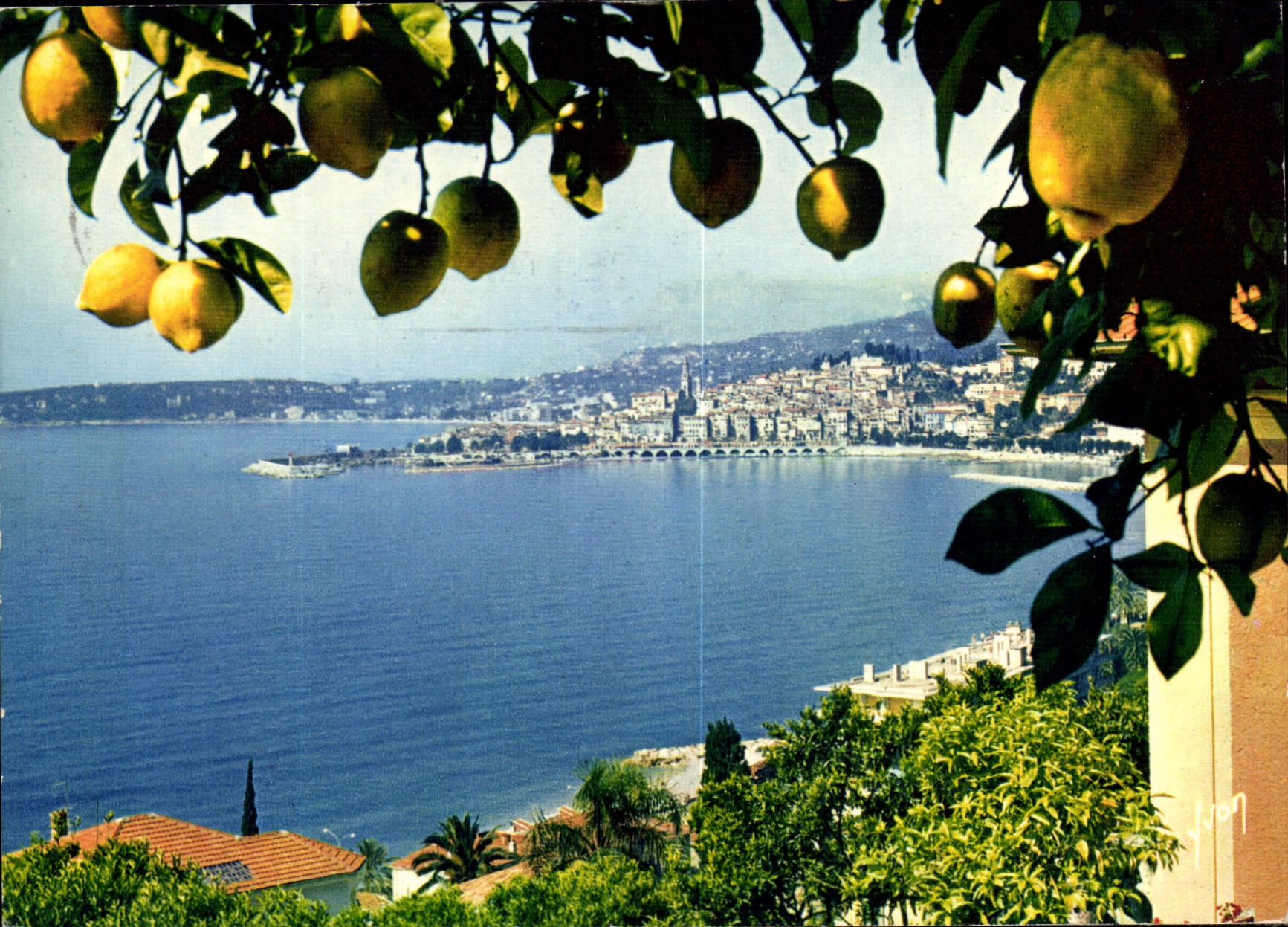 CPM La Cote d'Azur miracle de la nature Menton A M vue generale 
