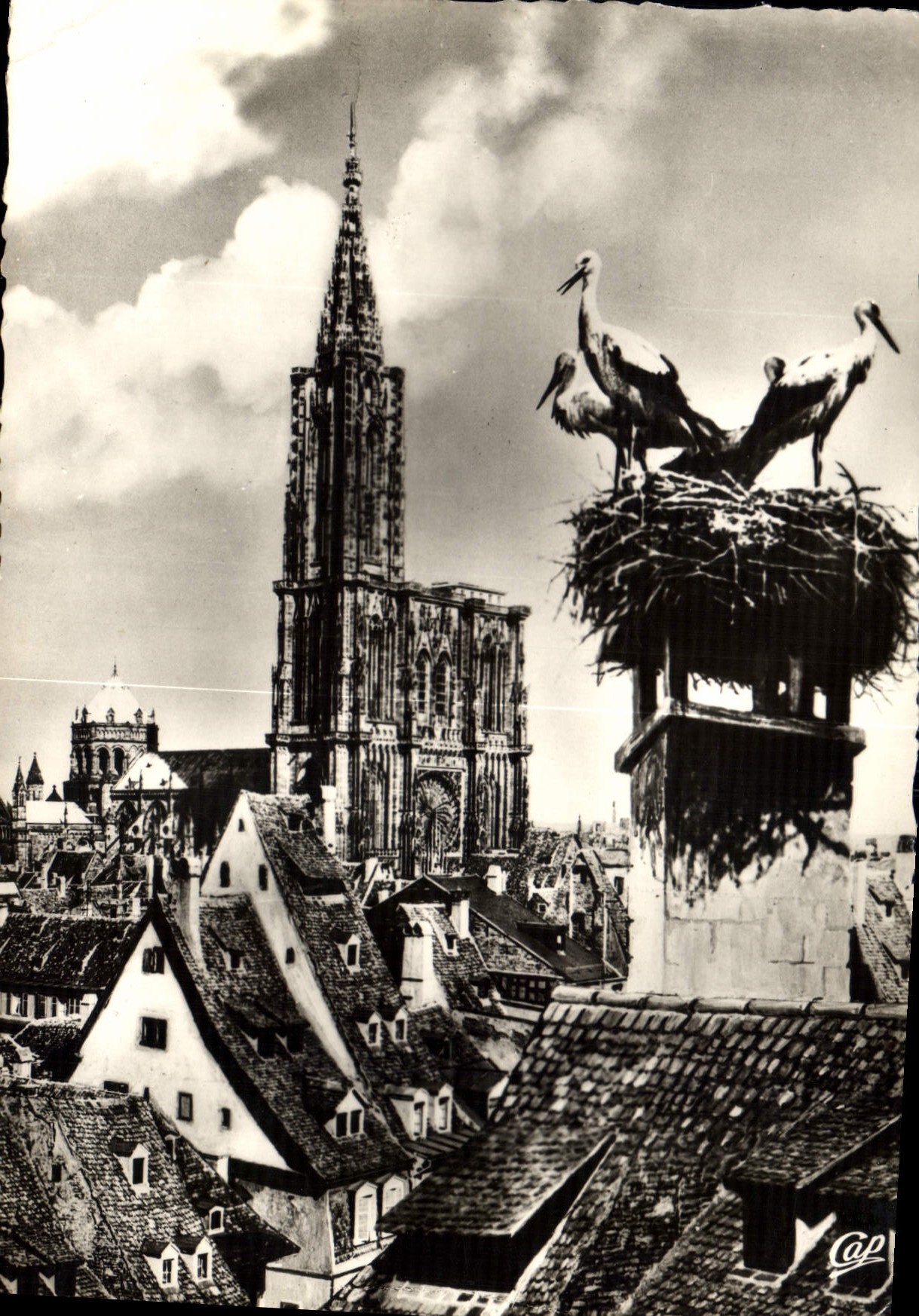 CPM Strasbourg les Cigognes 