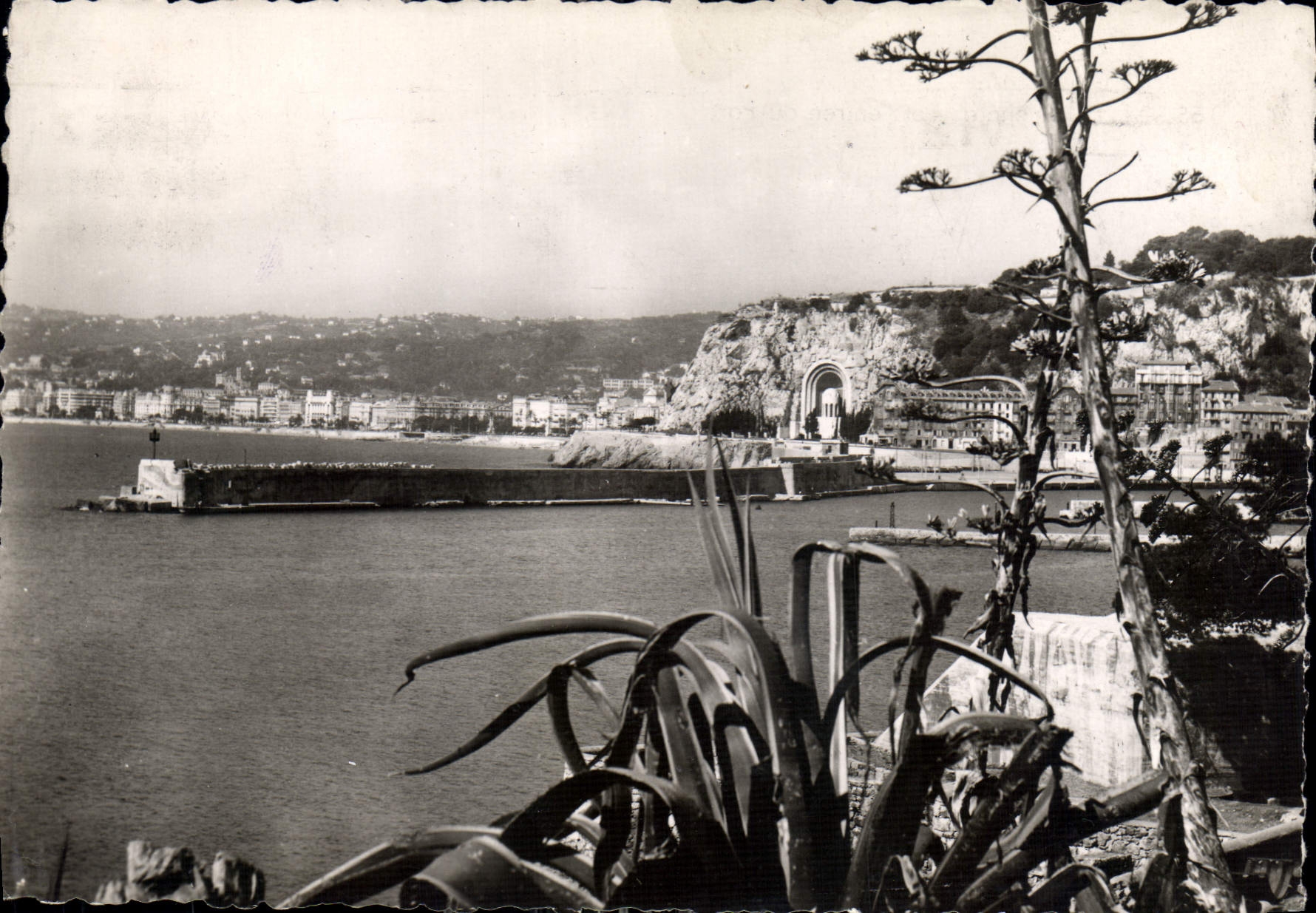 CPM Nice le Chateau et l'entree du Port 