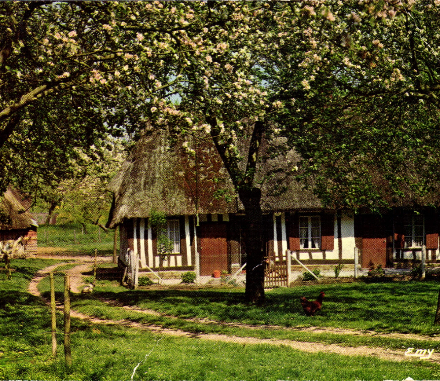 CPM La Normandie Pittoresque Chaumiere Normande au Printemps