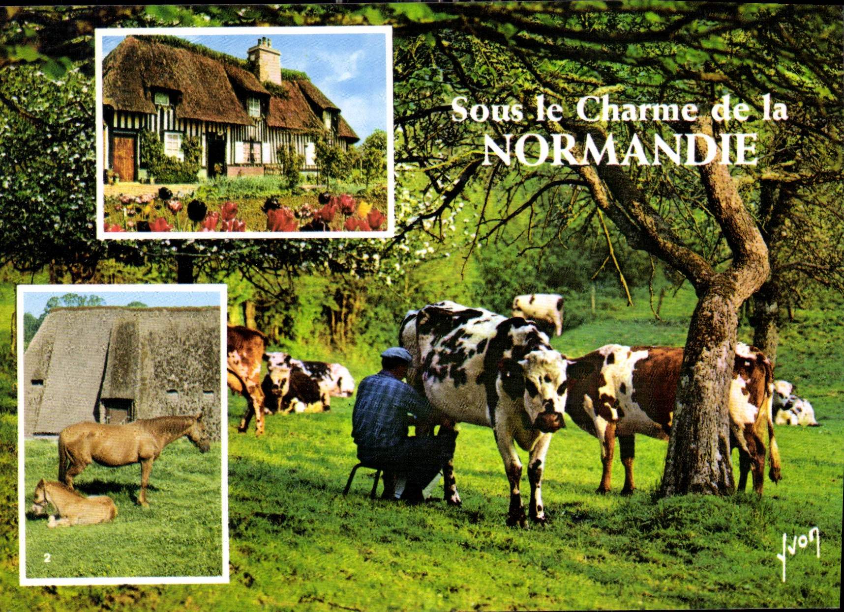 CPM La Luxuriante Normandie Chaumieres Normandes Chevaux dans les Haras
