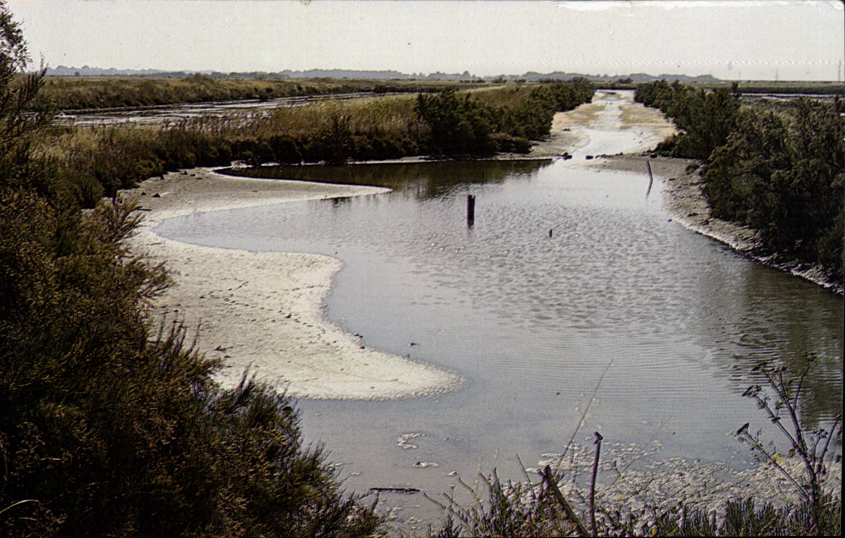 CPM Ars en Re Charente Maritime les Marais Salants 