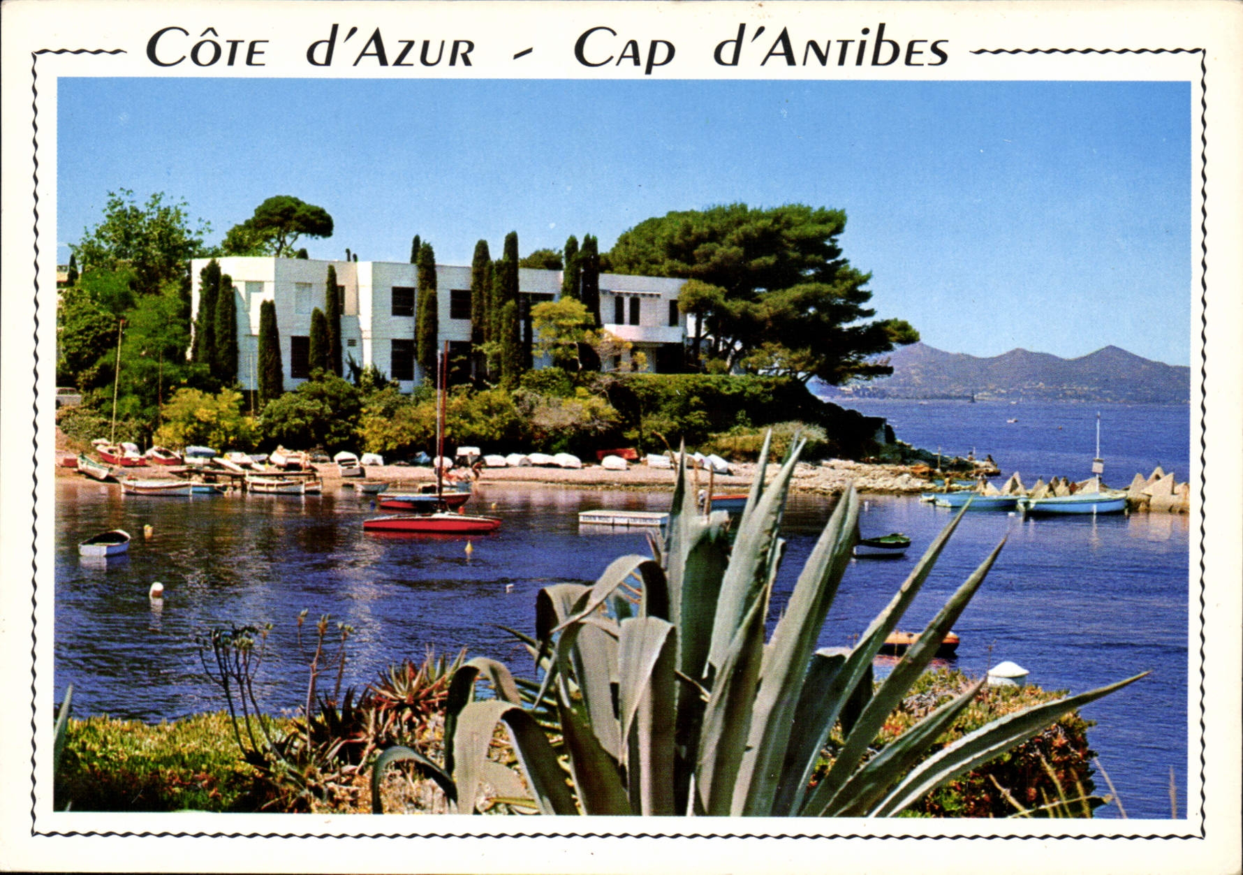 CPM Cote d'Azur Cap d'Antibes Juan les Pins le petit port 