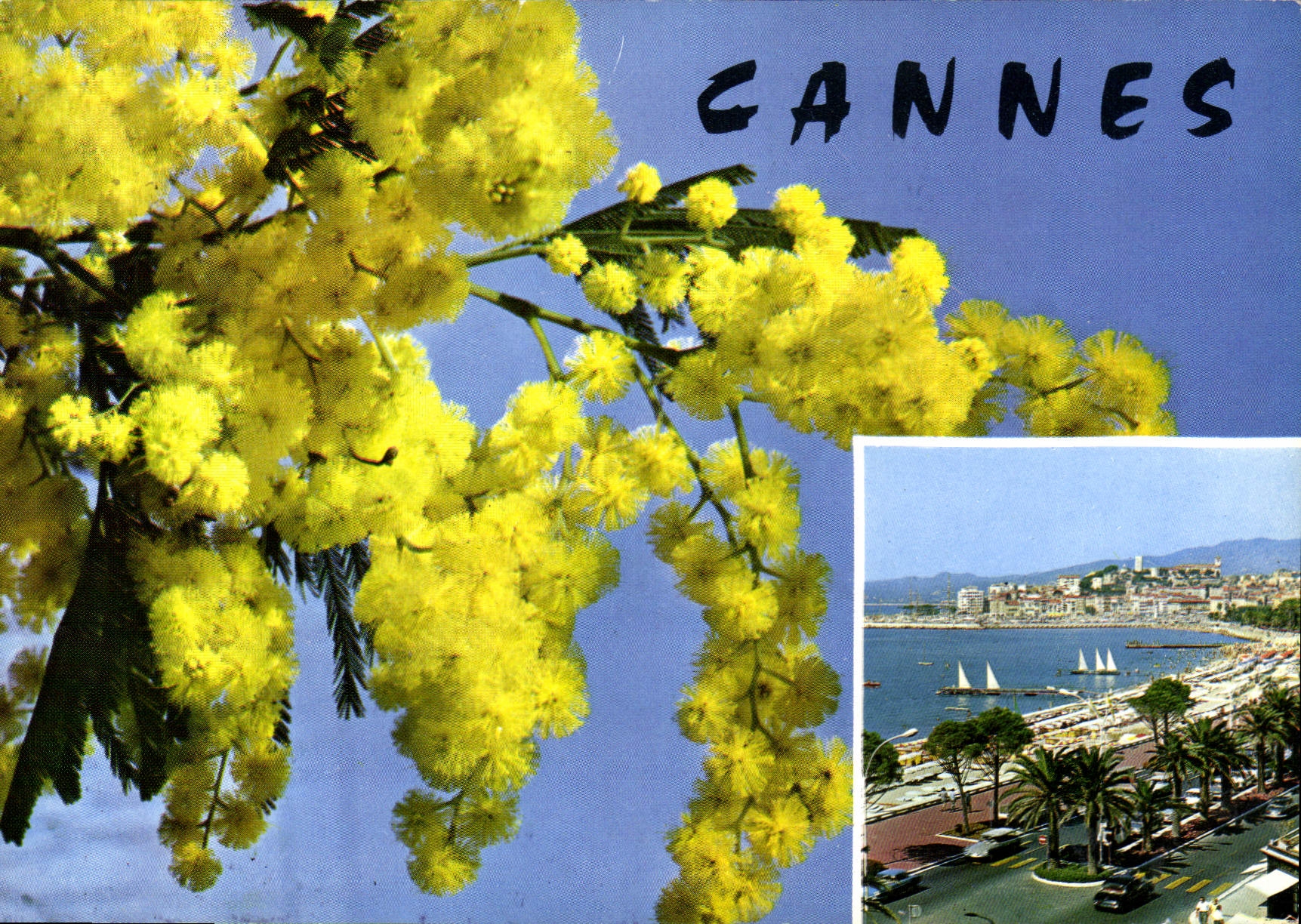 CPM Cannes Cote d'Azur 