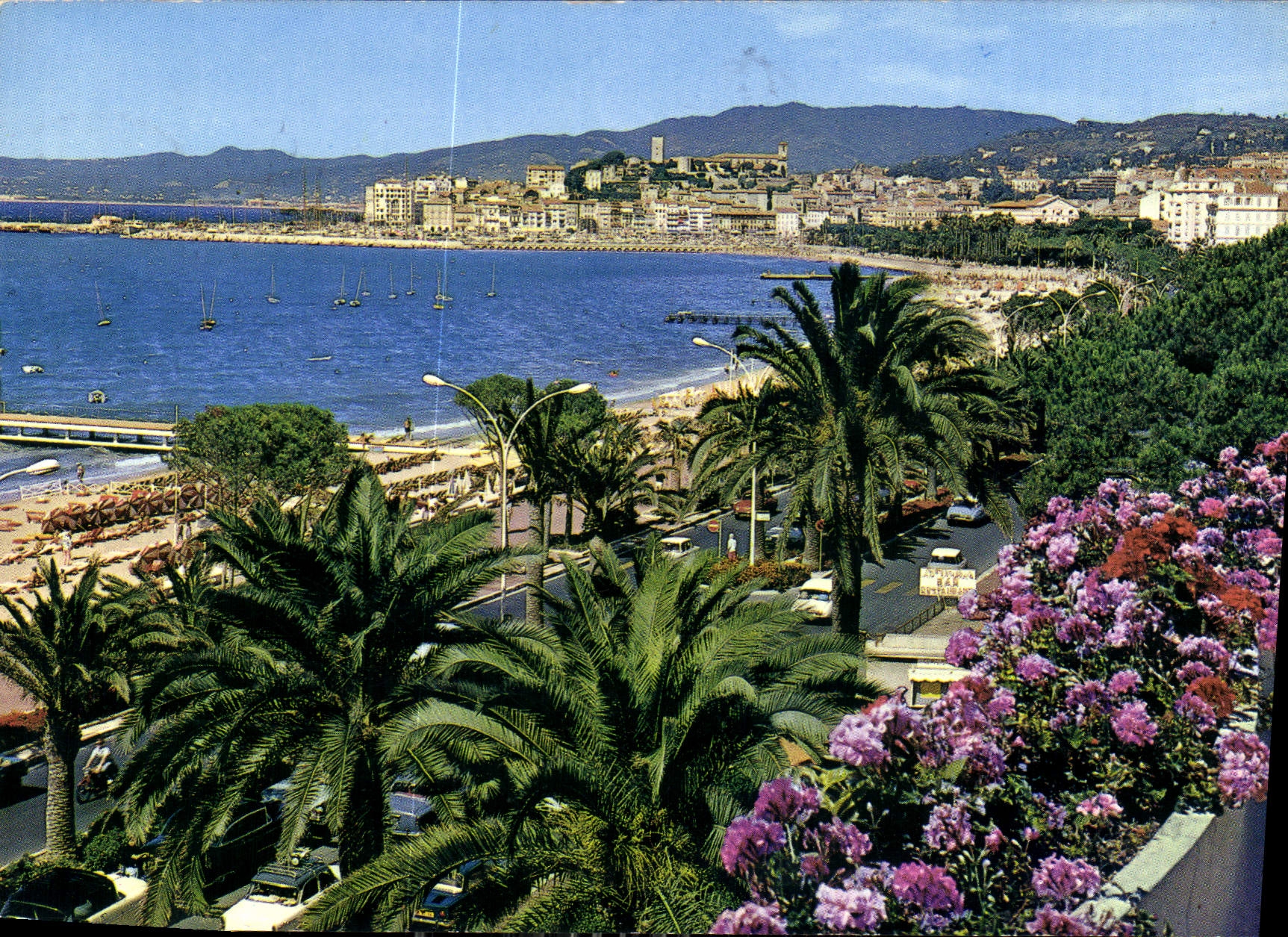 CPM Cannes Cote d'Azur French Riviera la croisette et les plages le Suquet 
