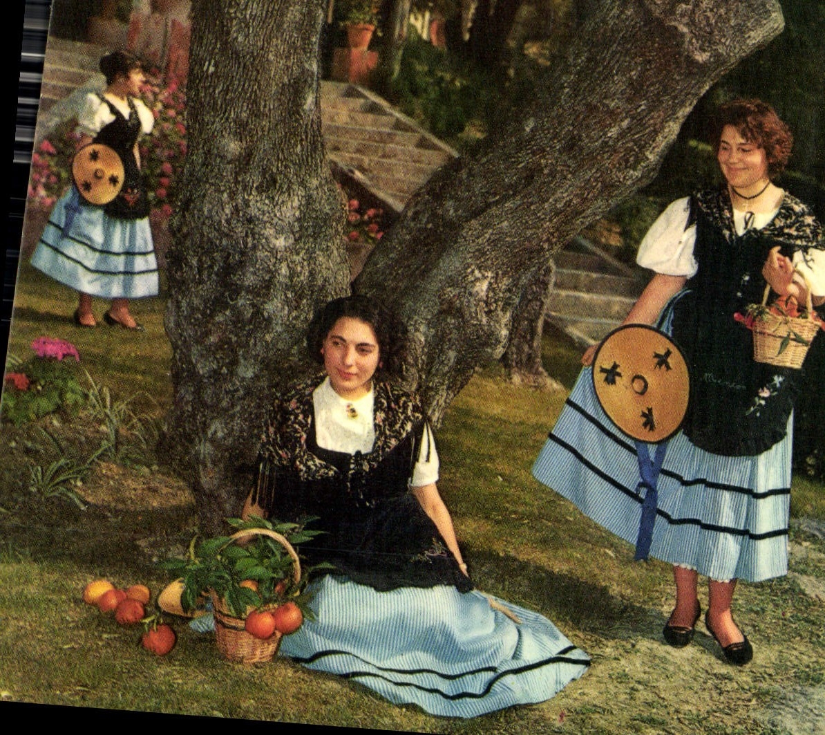 CPM Les Sites Merveilleux de la Cote d'Azur Jeunes filles sous les oliviers Folklore