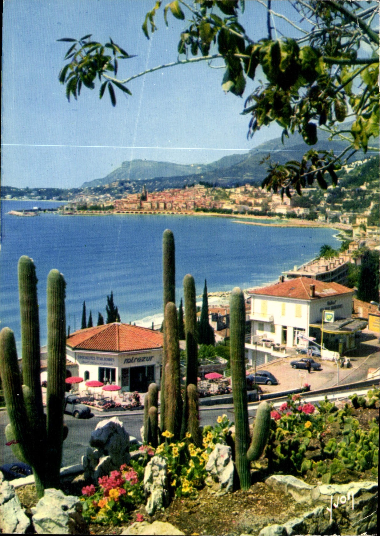CPM Couleurs et lumiere de France la Cote d'Azur miracle de la nature Menton Alpes Maritimes ses pla