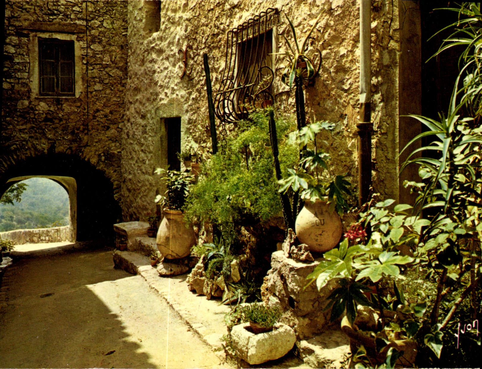 CPM Couleurs et lumiere de France la Cote d'Azur miracle de la nature en provence vieille rue 