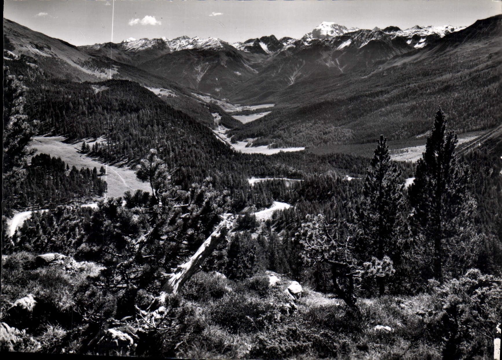 CPM Blick vom Ofenpass gegen Ofenpass und Ortler