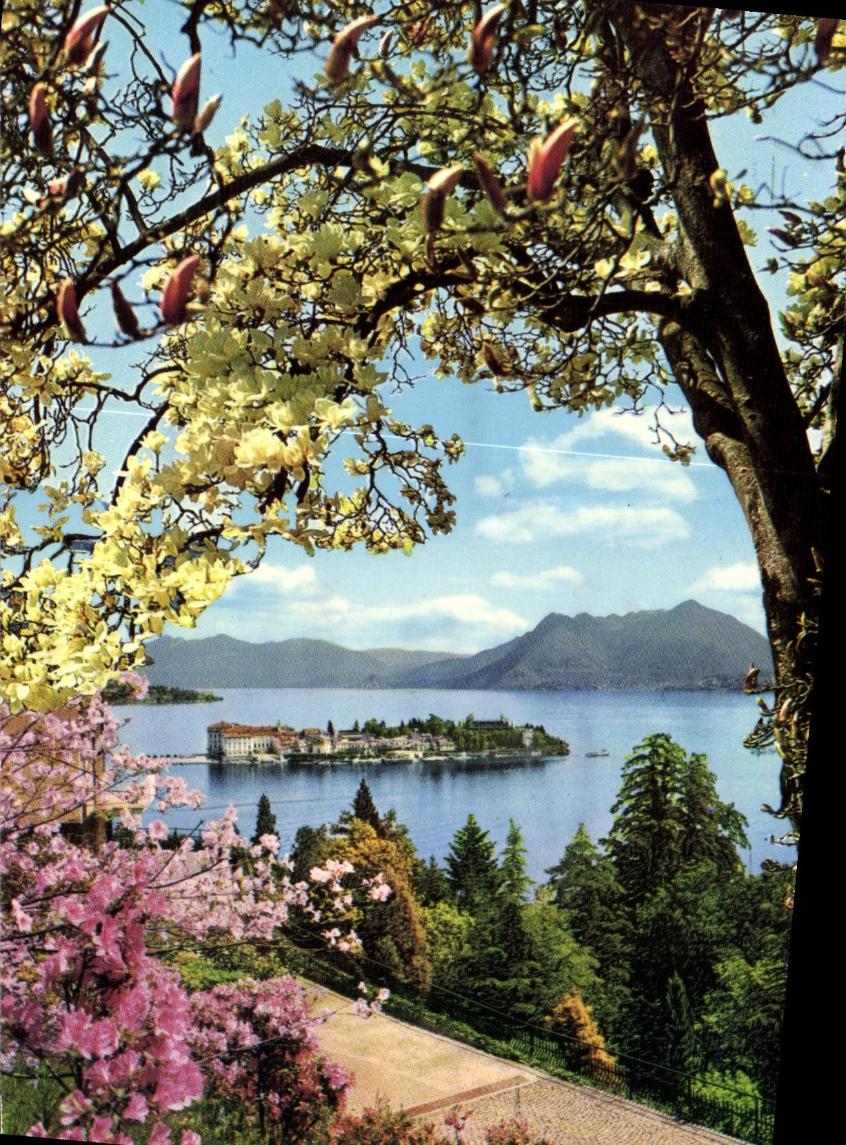 CPM Isola Bella Lac Majeur Printemps