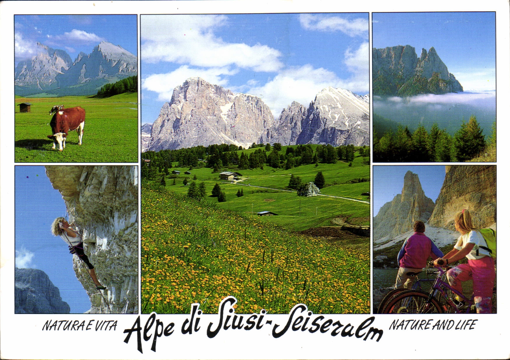 CPM Dolomiti Dolomiten Alpe di Suisi Seiseralm