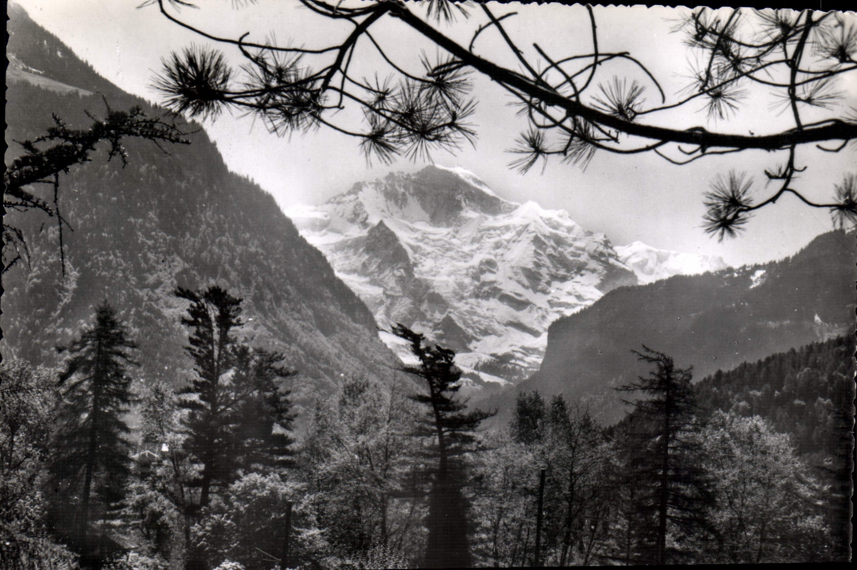 CPM Interlaken Die Jungfrau 