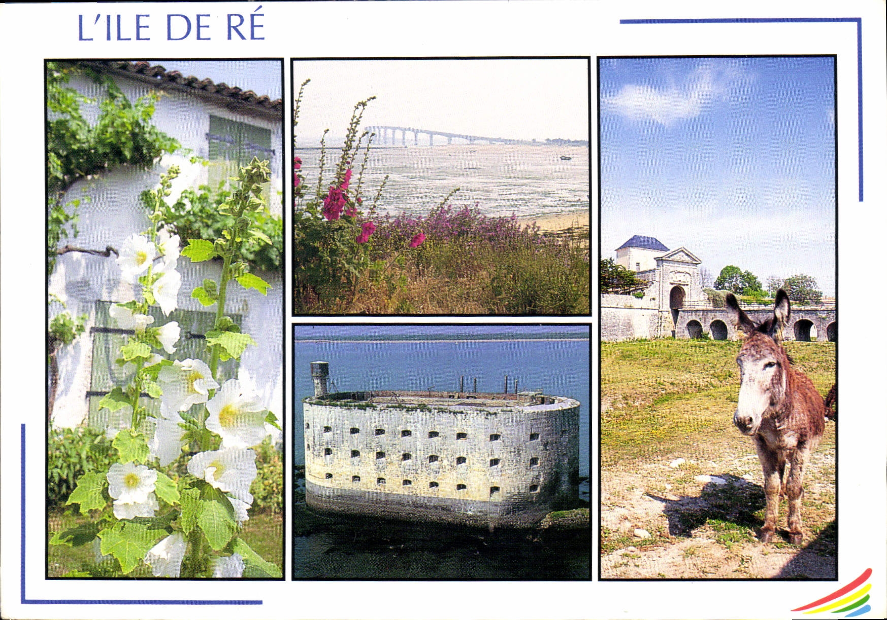 CPM Images de France Charente Maritime l'Ile de Re la Blanche couleur et chrme de l'ile 