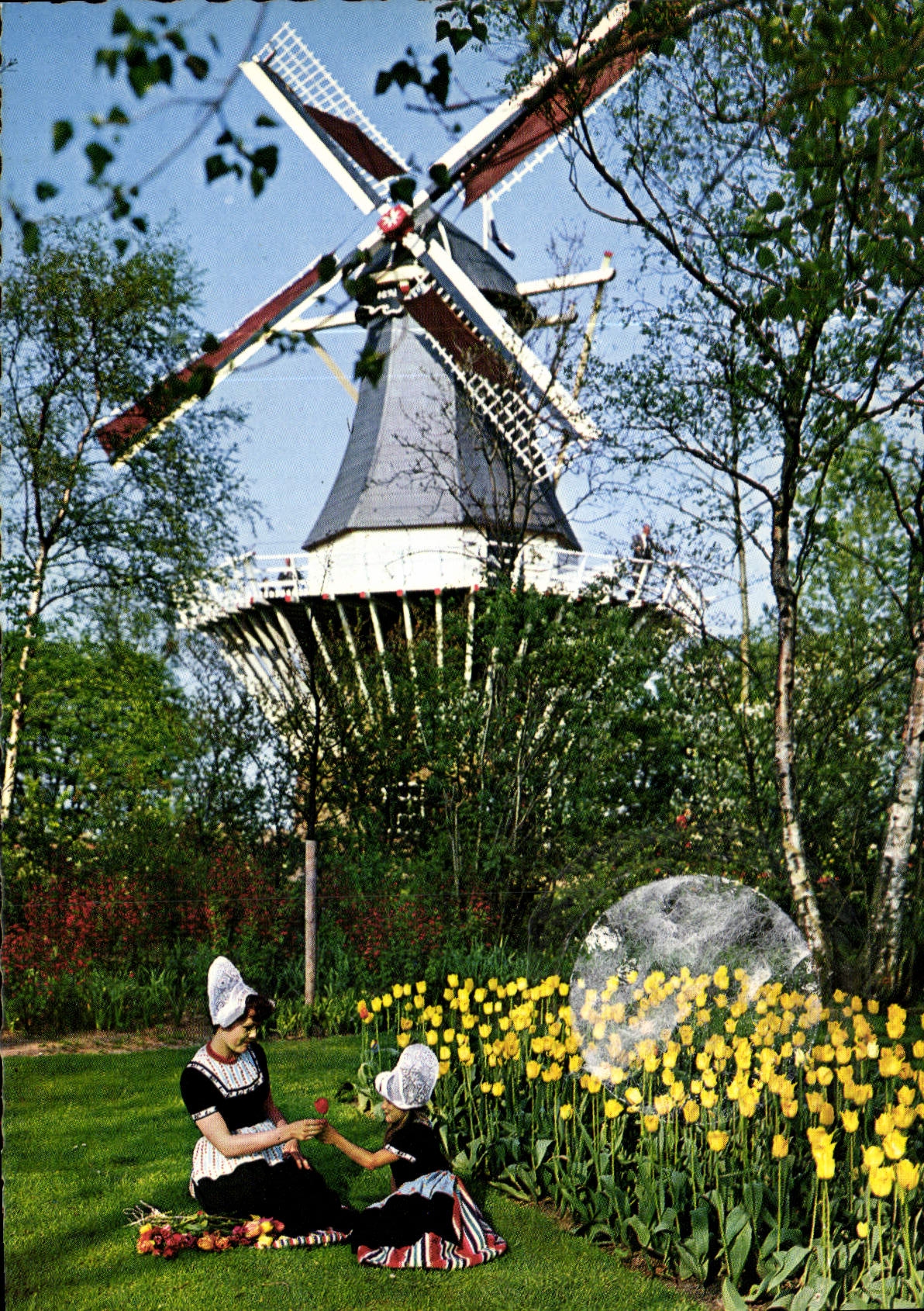 CPM La Hollande en Parure des Fleurs Moulin a vent Folklore