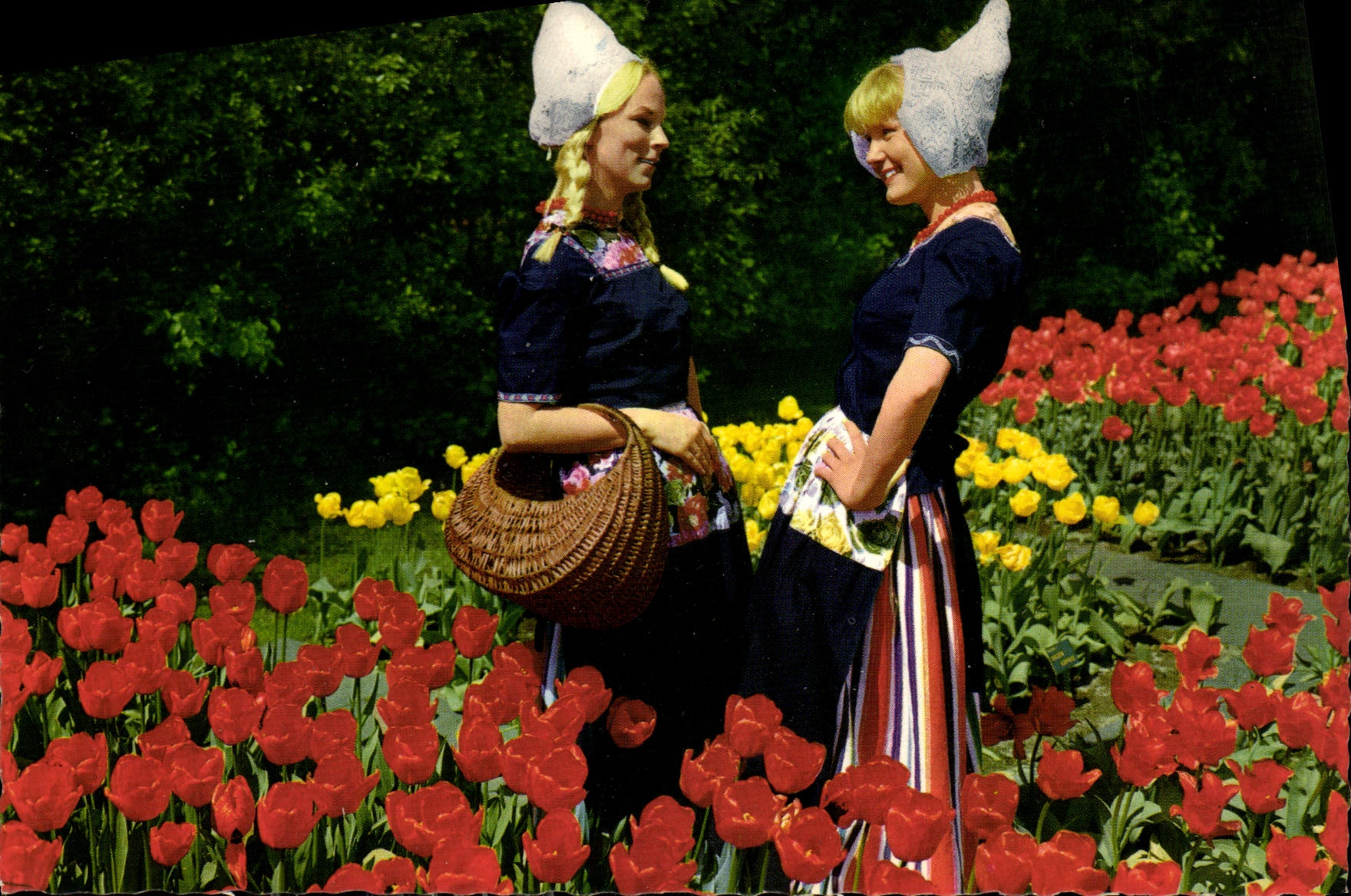CPM La Hollande en Parure des Fleurs Folklore