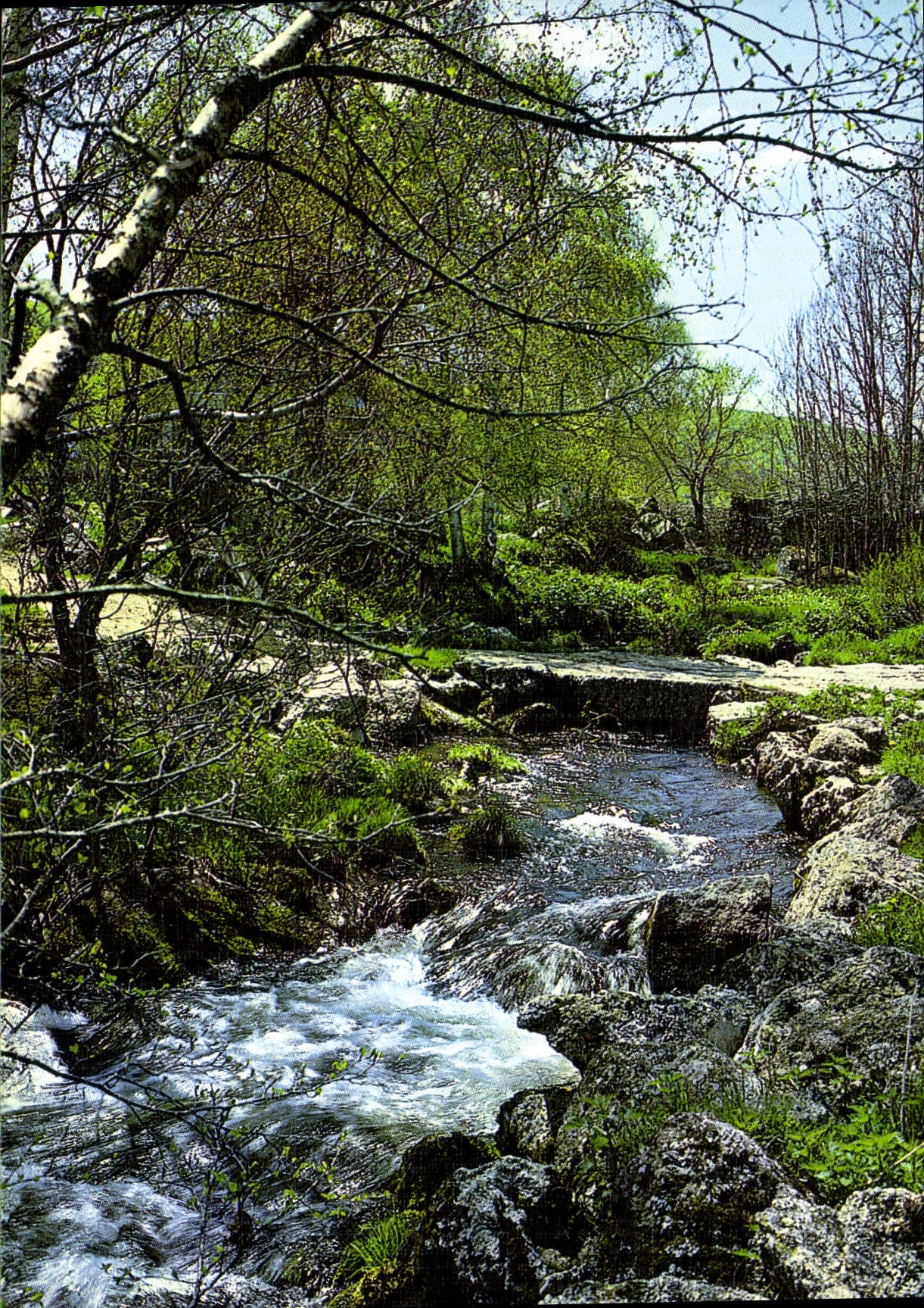CPM Quel plaisir d'ecouter ruisseler l'eau fraiche de nos campagnes 