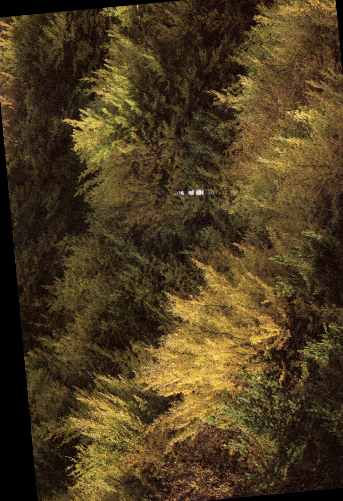 CPM Provence Debut d'Automne 