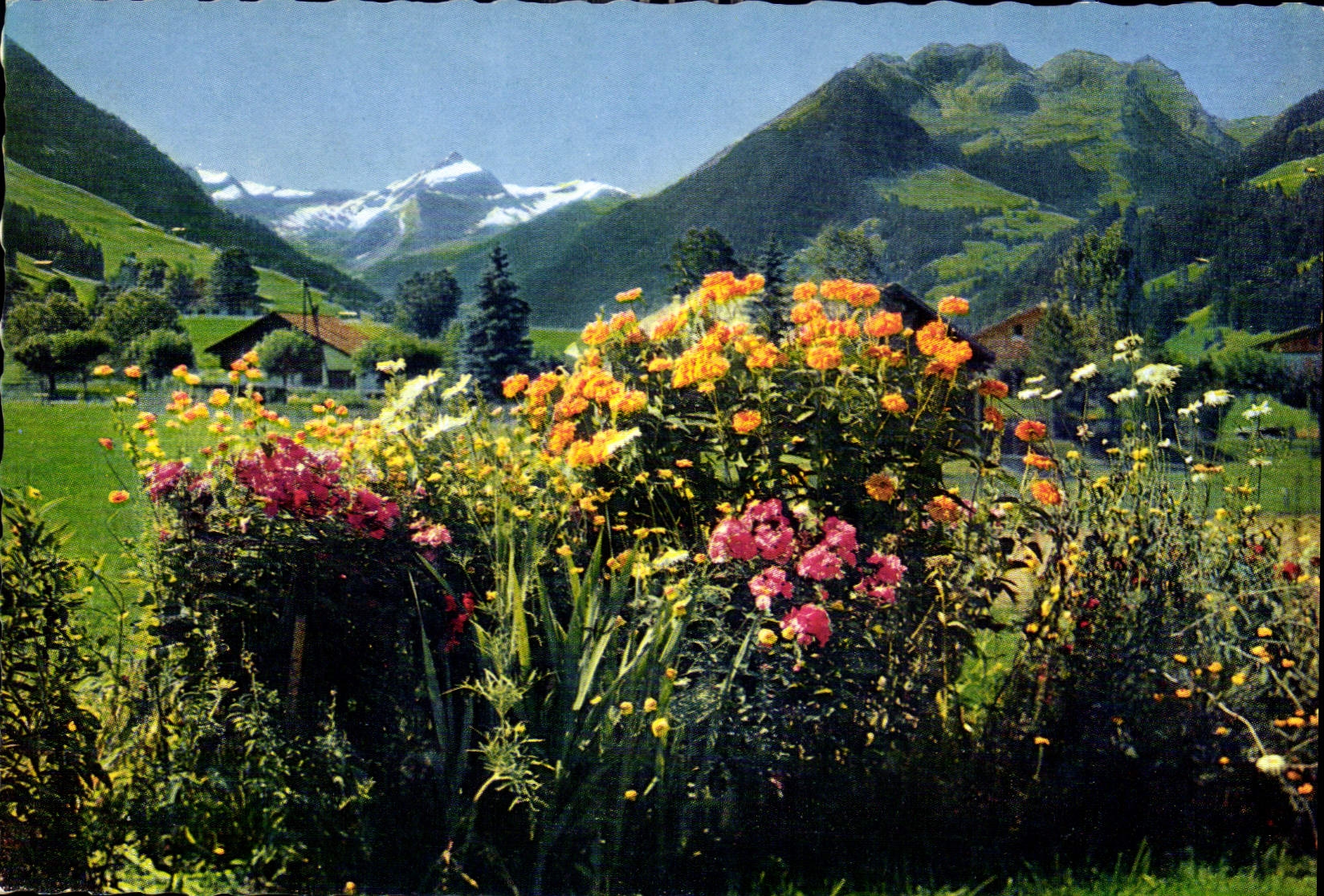CPM Gstaad Oldenhorn und Staldenfluhe