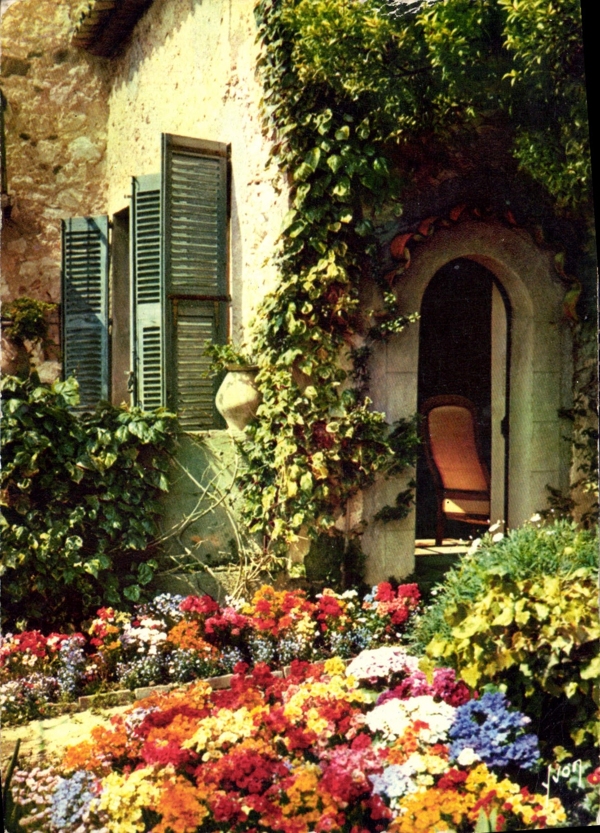 CPM Couleurs et Lumiere de France La Cote d'Azur miracle de la nature Jardin fleuri 