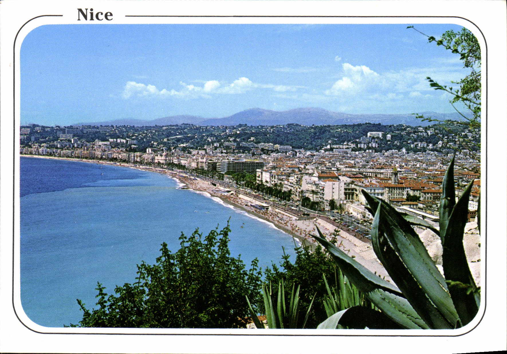 CPM Cote d'Azur Nice Vue generale