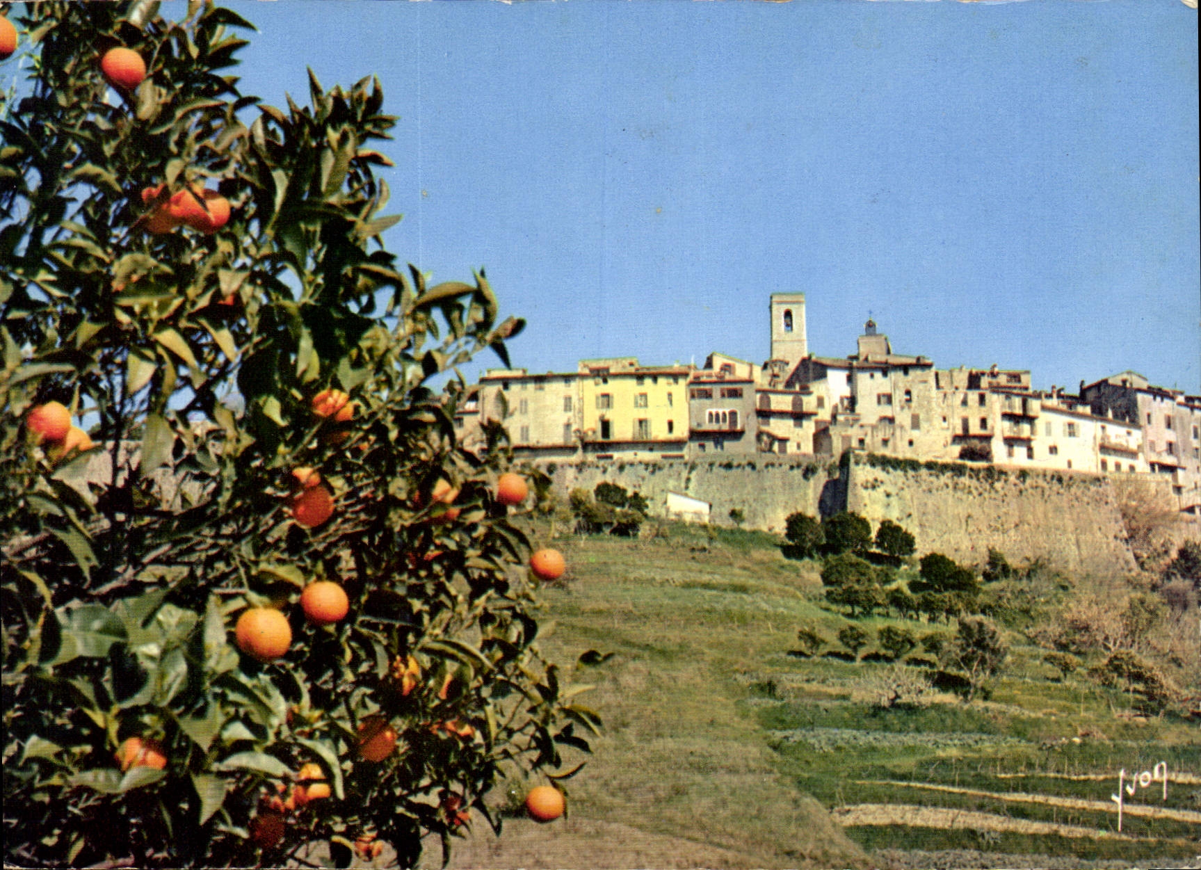 CPM La Cote d'Azur miracle de la nature Saint Paul de Vence AM Vue generale