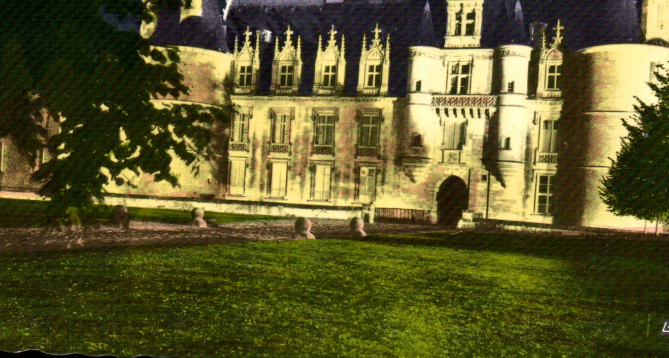 CPM Maintenon Eure et Loir Le chateau illumine