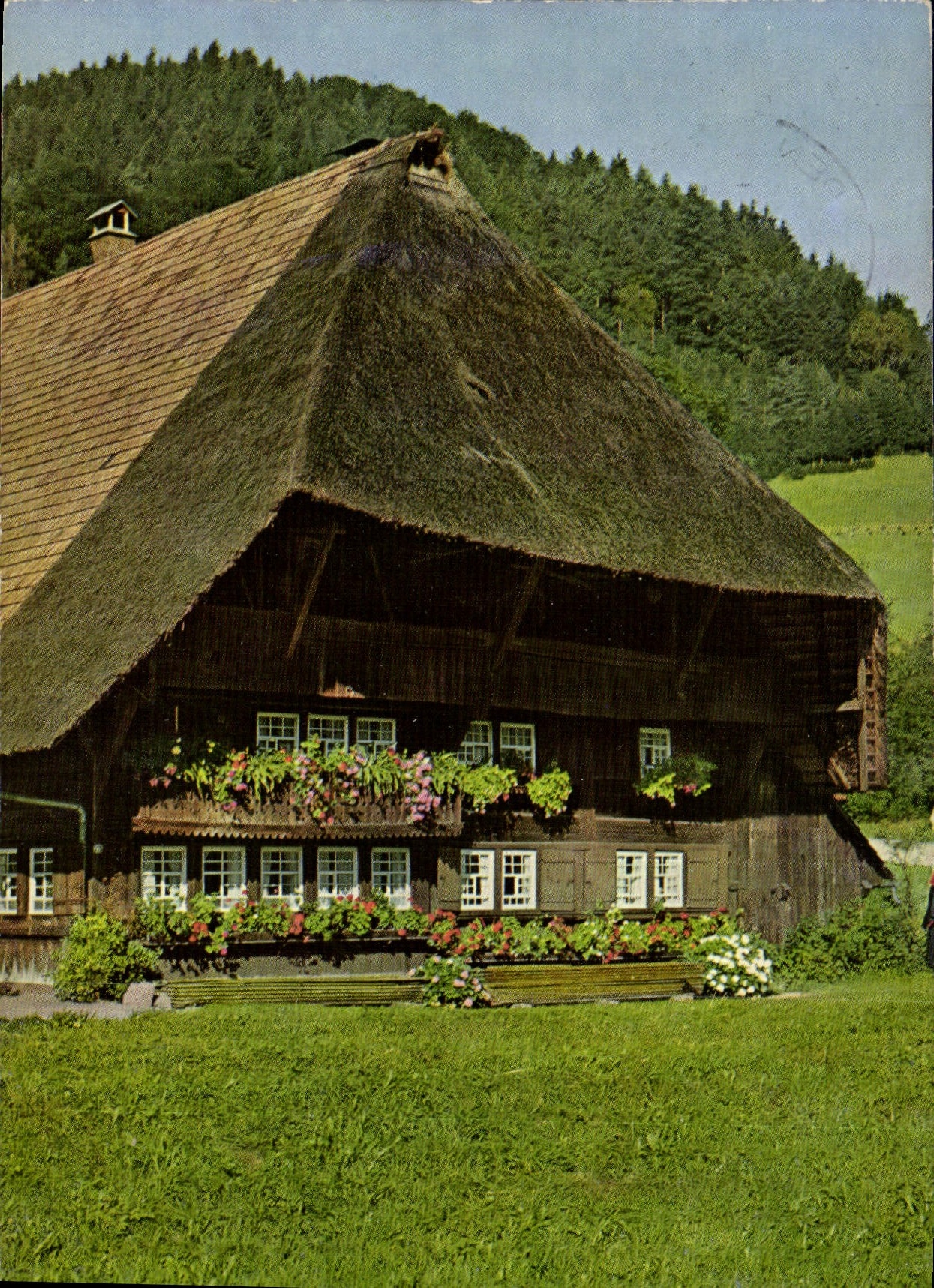 CPM Schwarzwald Black Forest Foret Noire