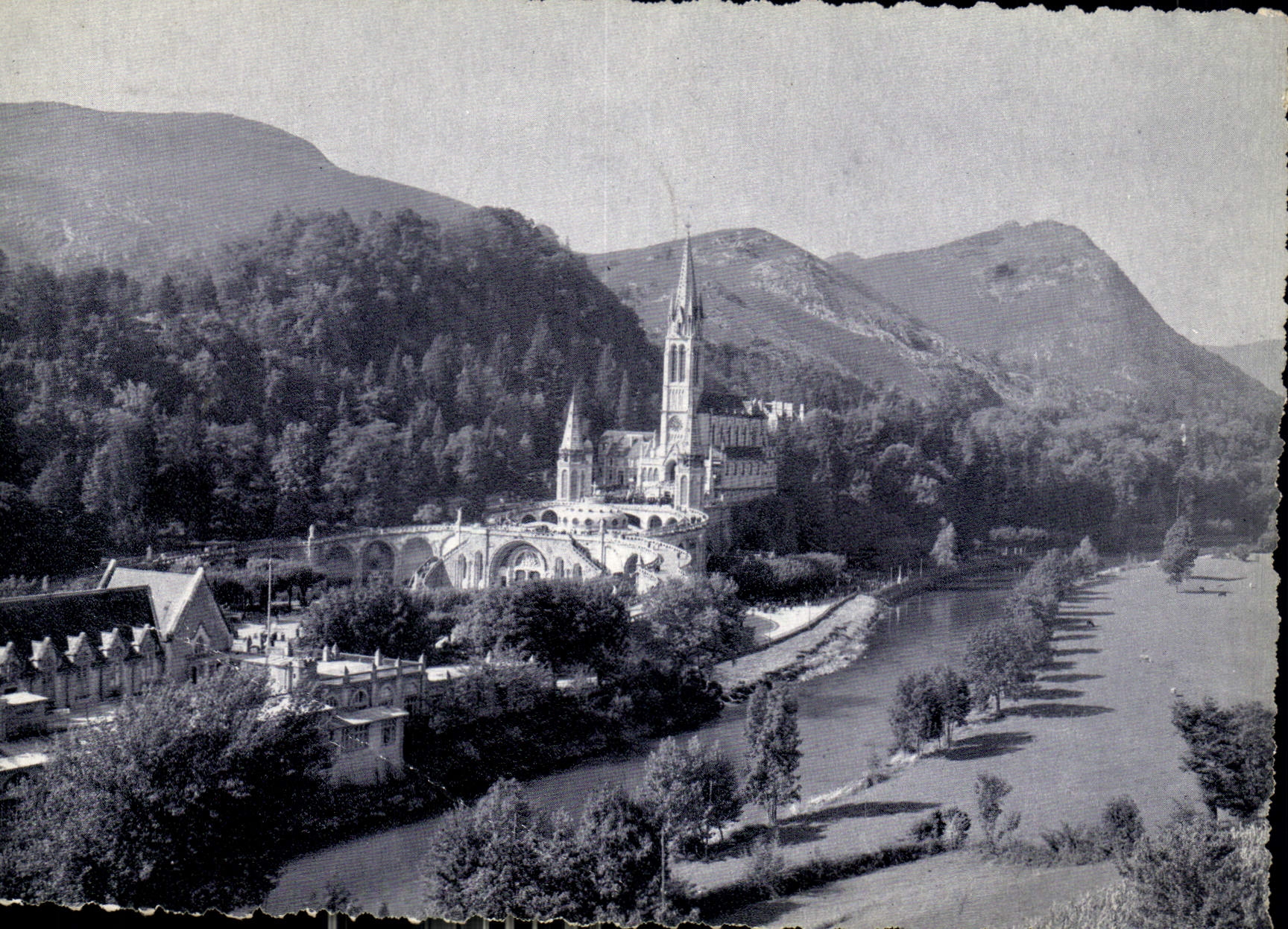 CPM Lourdes La Basilique et le Gave 
