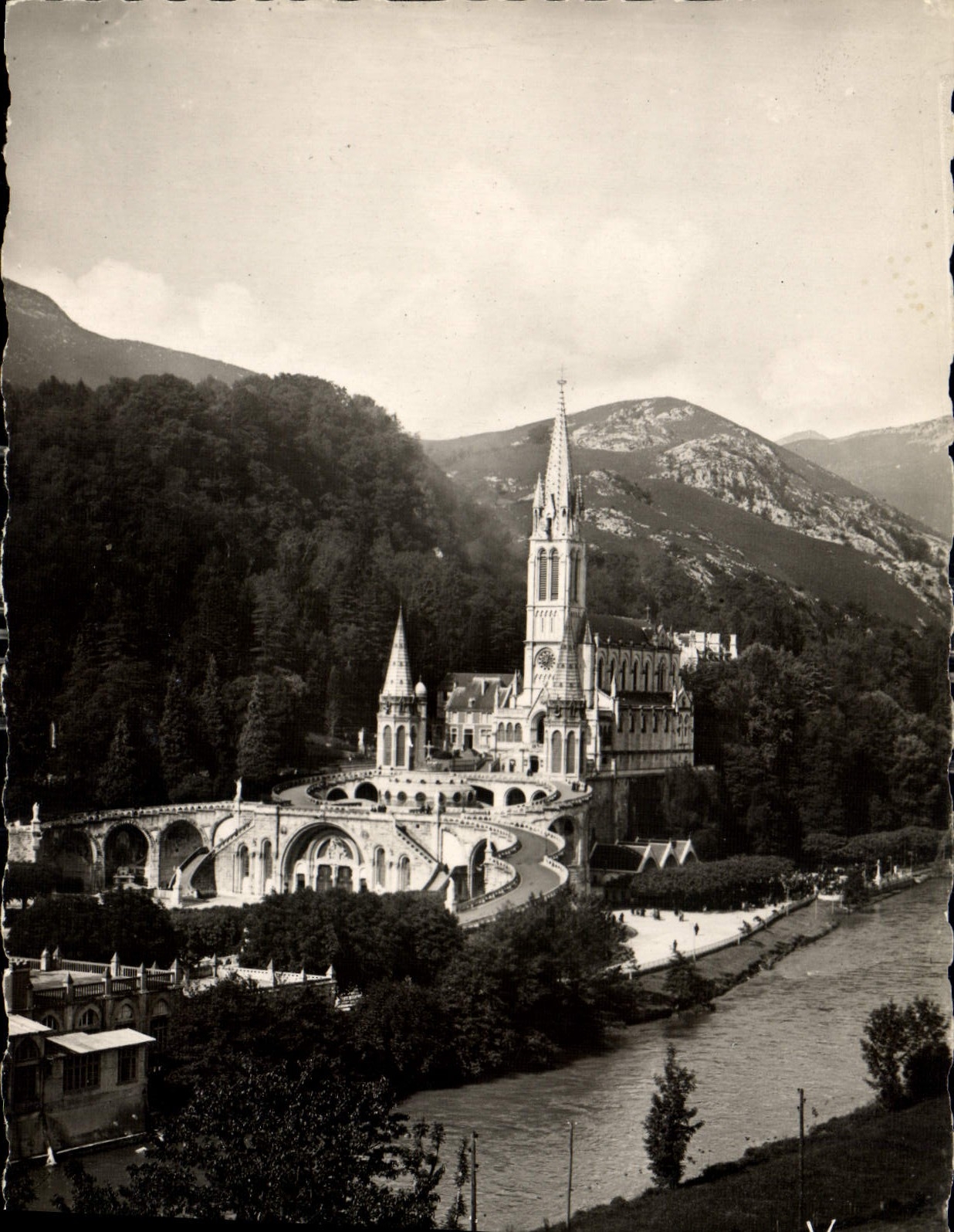 CPM Lourdes La Basilique et le Gave 