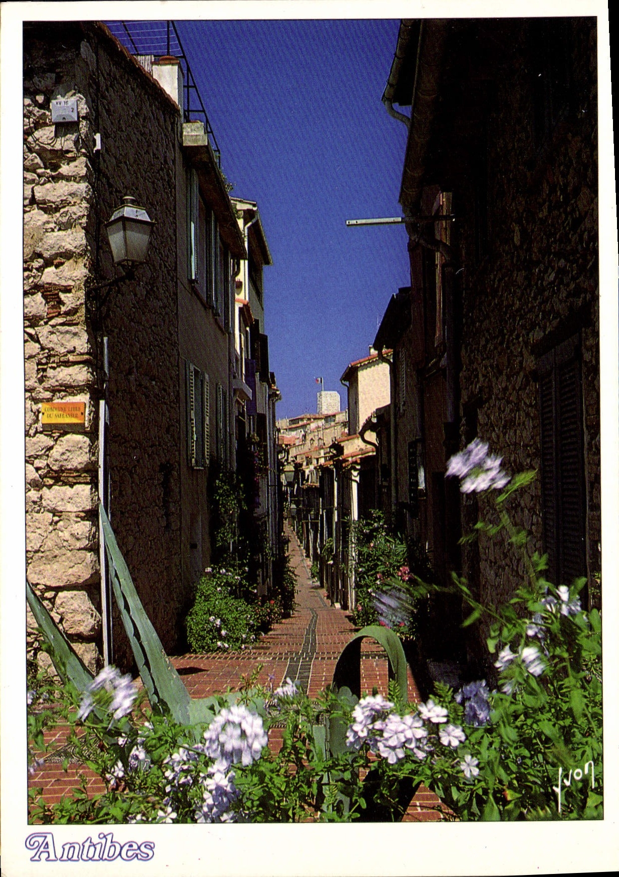 CPM Antibes Alpes Maritimes Une rue fleurie du vieil Antibes