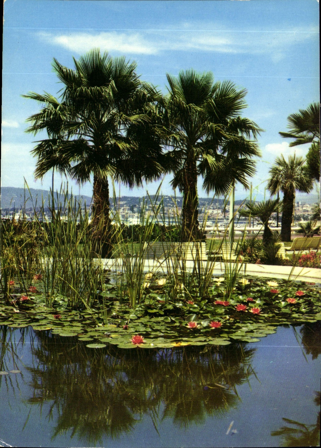 CPM Cannes Jardin du Port Pierre Canto 