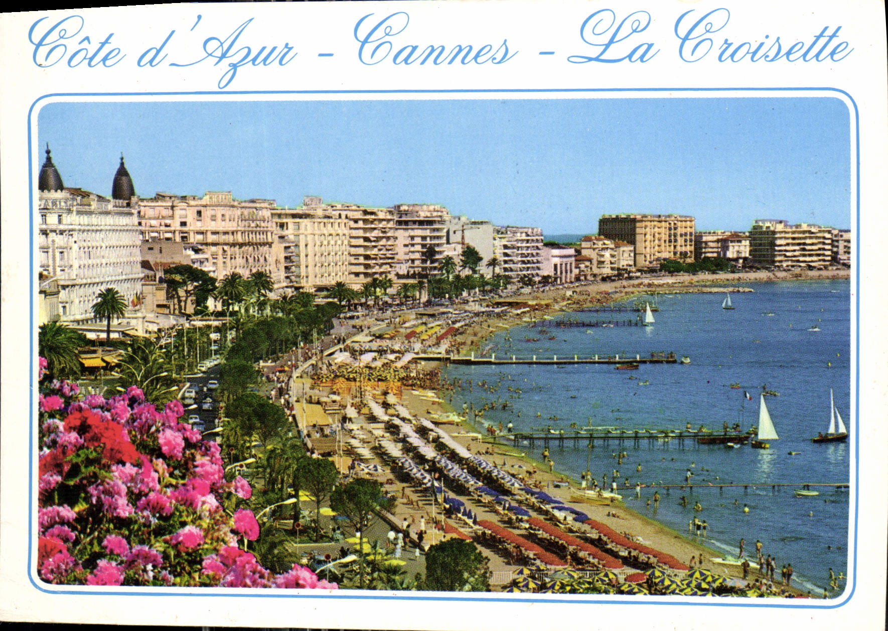 CPM Cote d'Azur Cannes La Croisette 