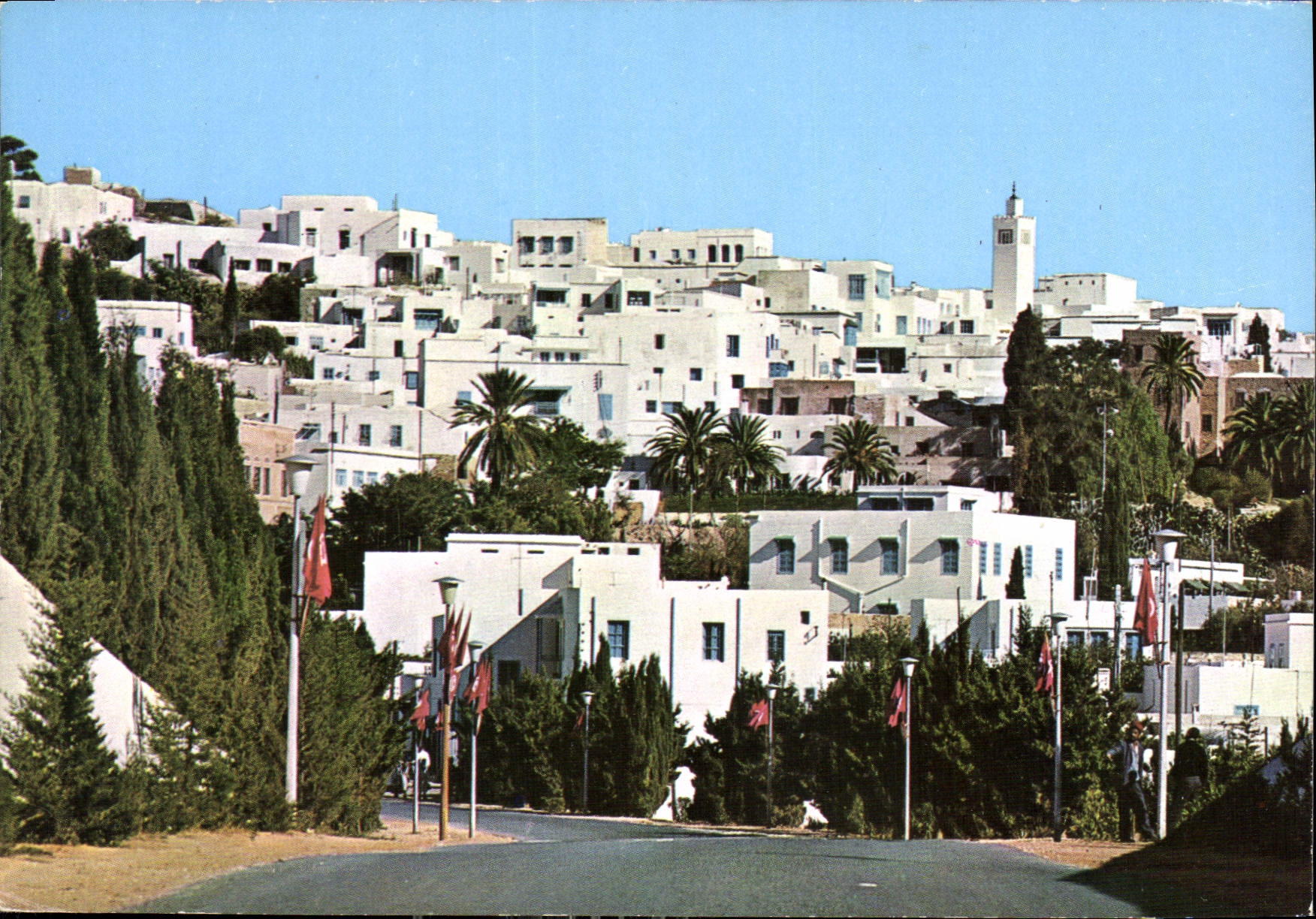 CPM Sidi Bou Said Vue Panoramique 