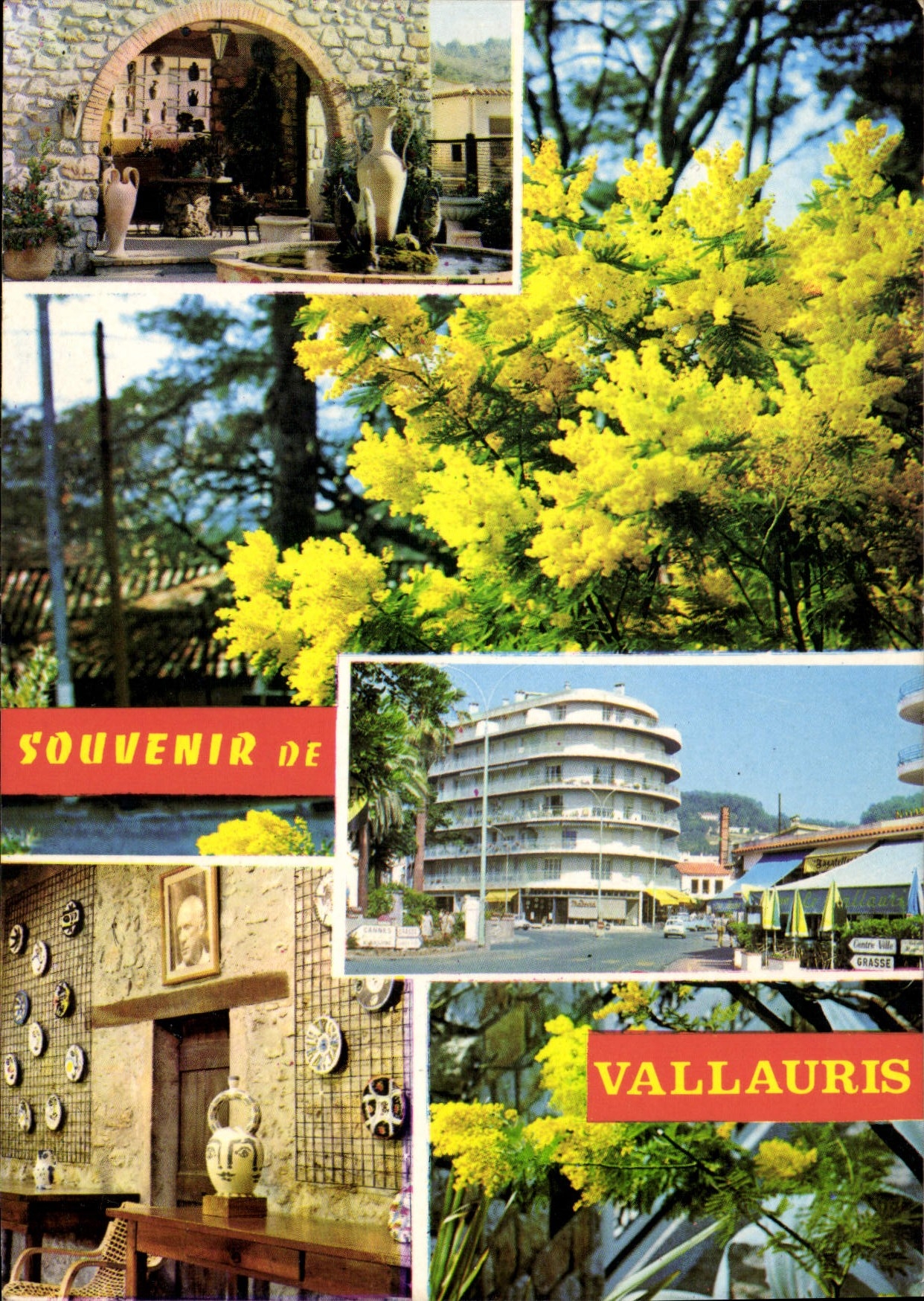 CPM Au Soleil de La Cote d'Azur Vallauris Reflets de Vallauris