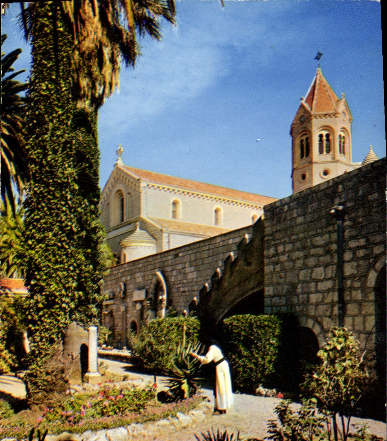 CPM Ile St Honorat Cannes Alpes Maritimes Abbaye de Norte Dame de Lerins Le Jardin de St Bernard