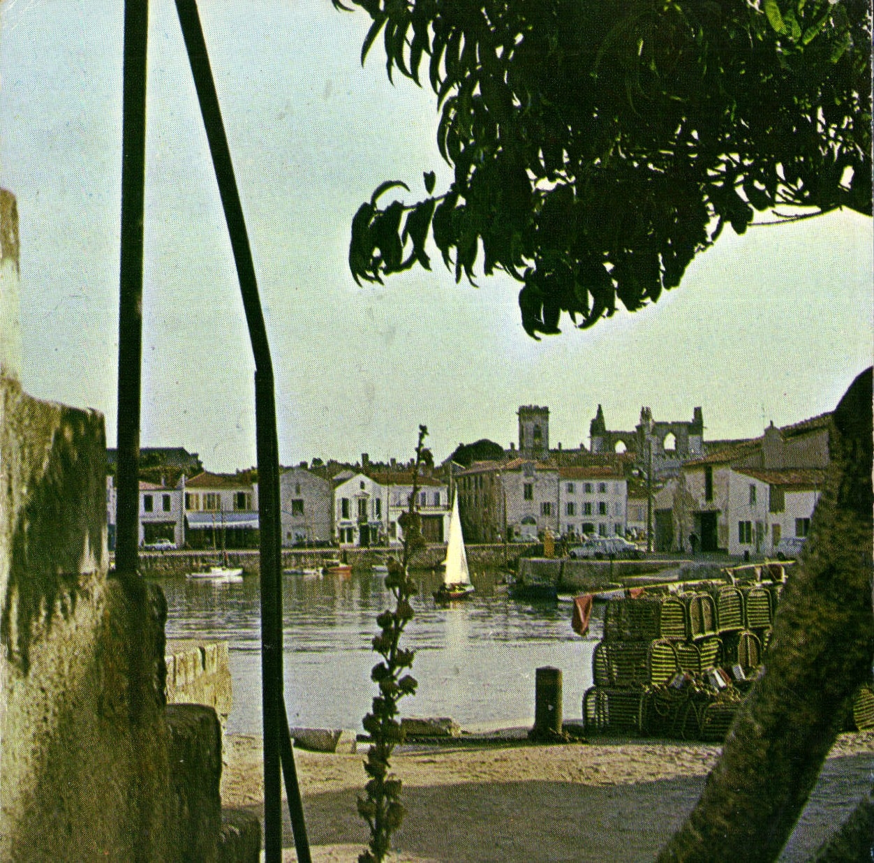 CPM Ile De Re Saint Martin De Re Le soir sur le port