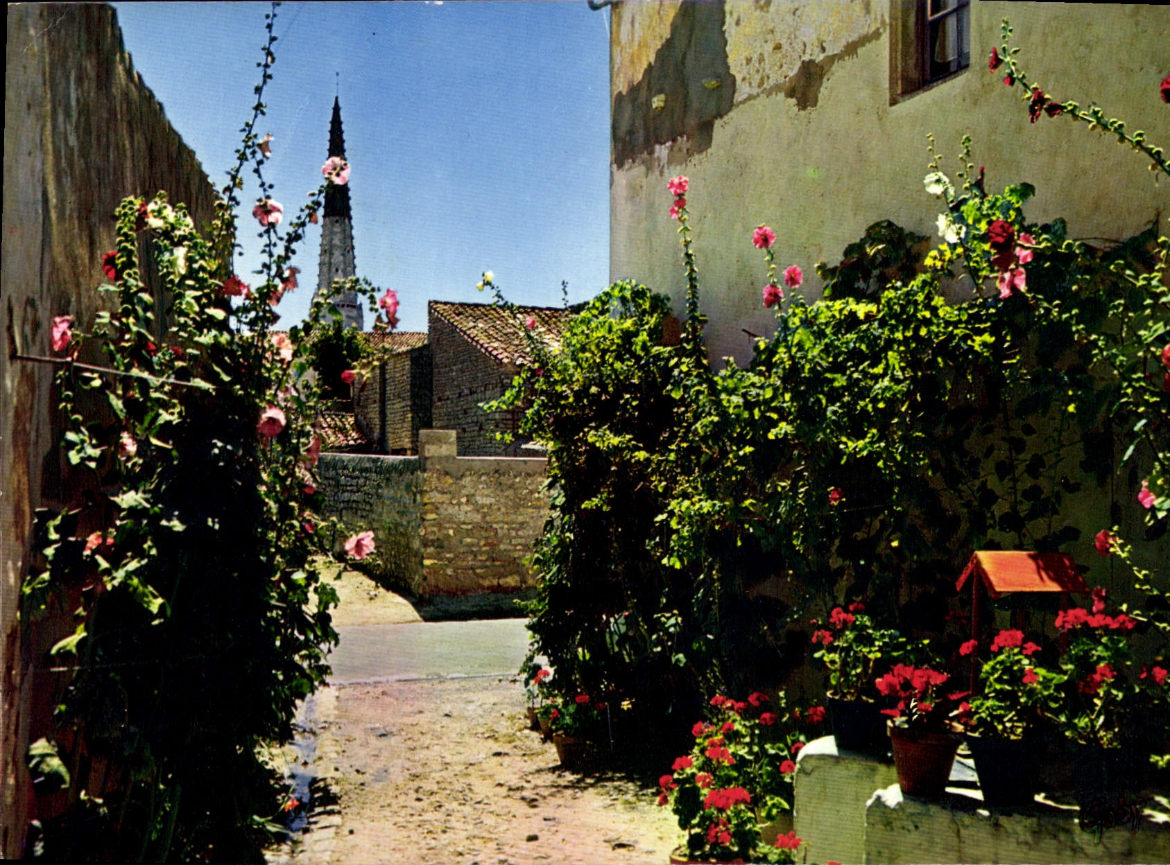 CPM Ile De Re Charente Maritime 17 Une jolie venelle en fleurs