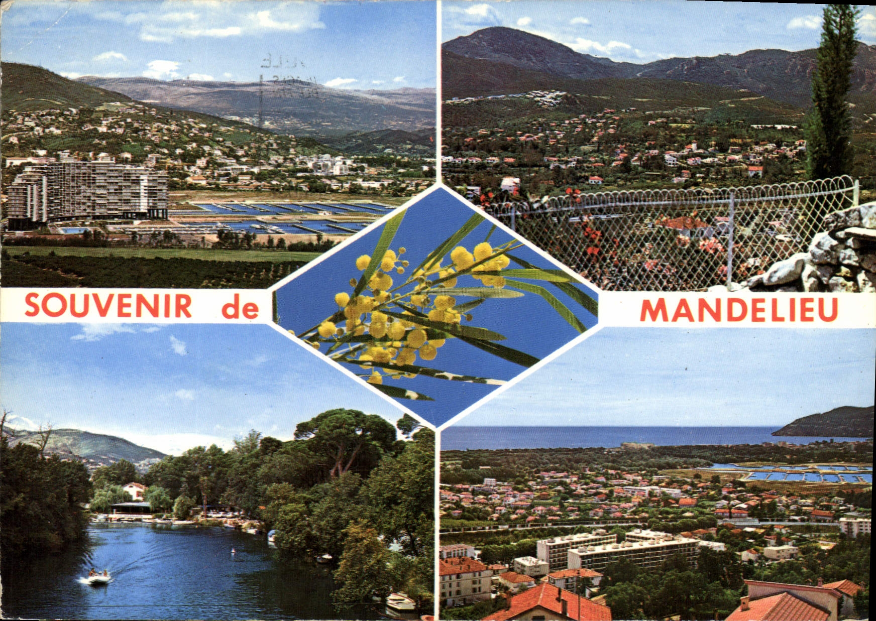 CPM Mandelieu Souvenir de Mandelieu 