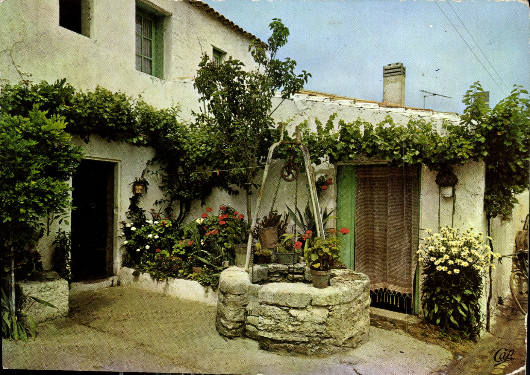 CPM Ile De Re Vieux Puits Fleuri 
