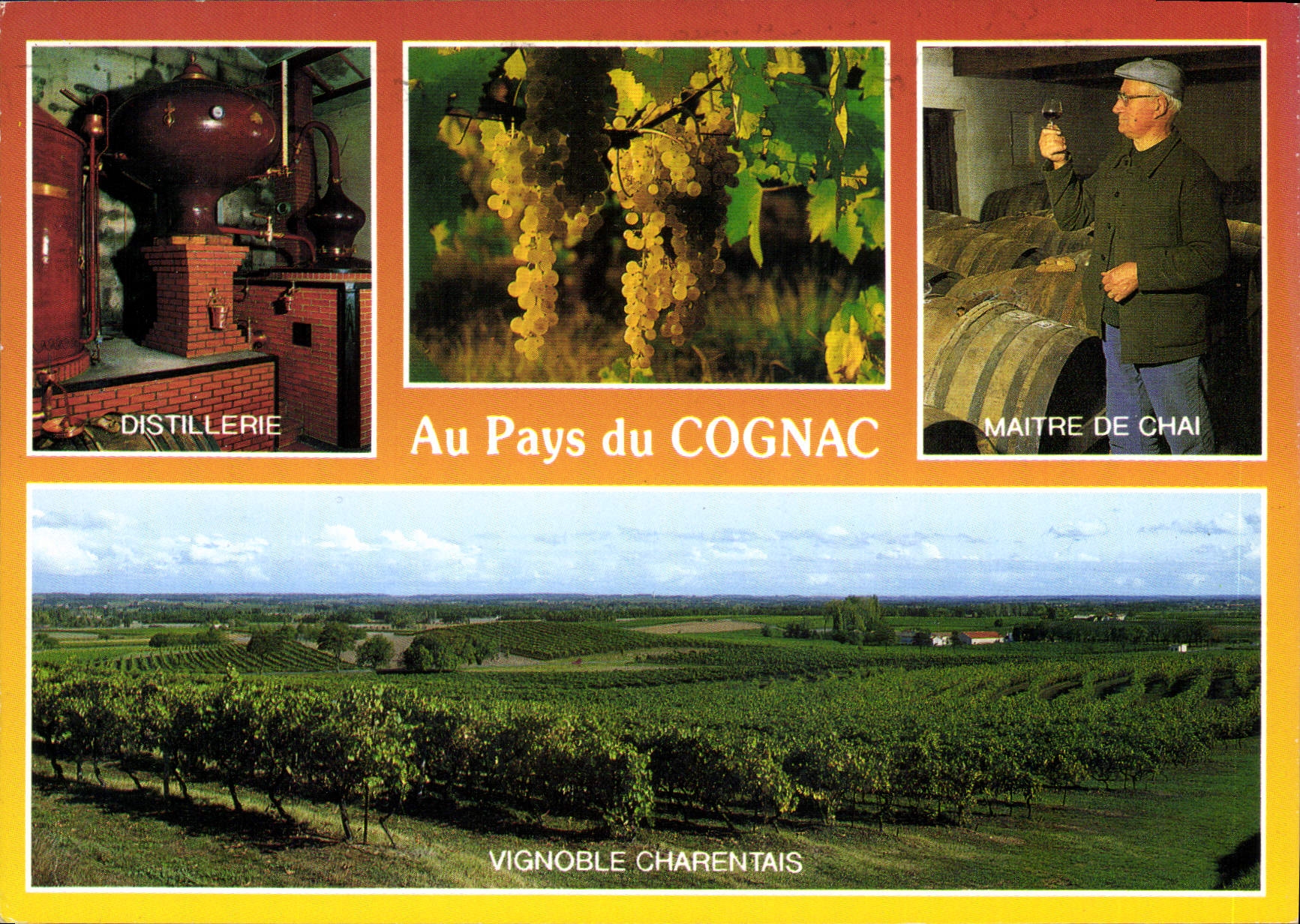 CPM Au Pays de Cognac 